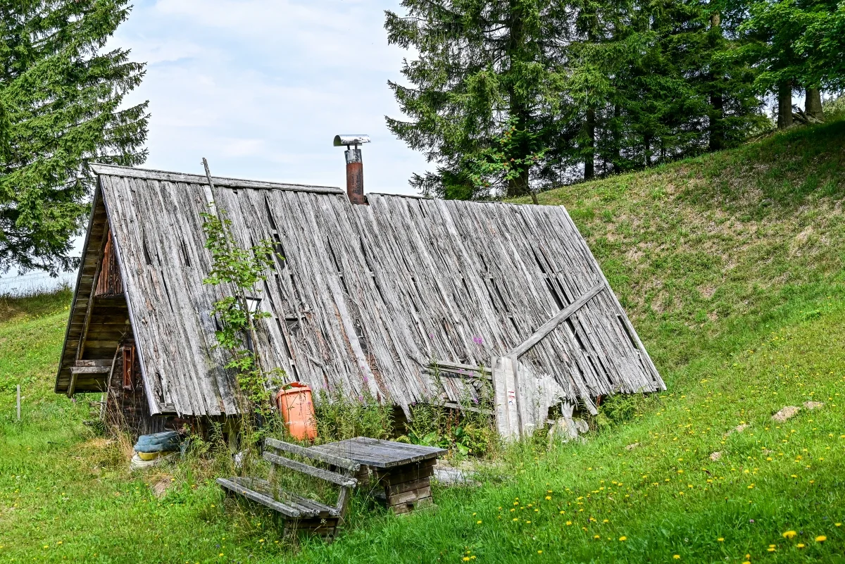 33.webp