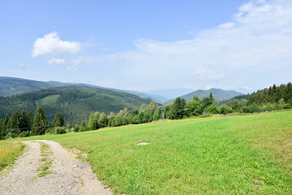 34.webp