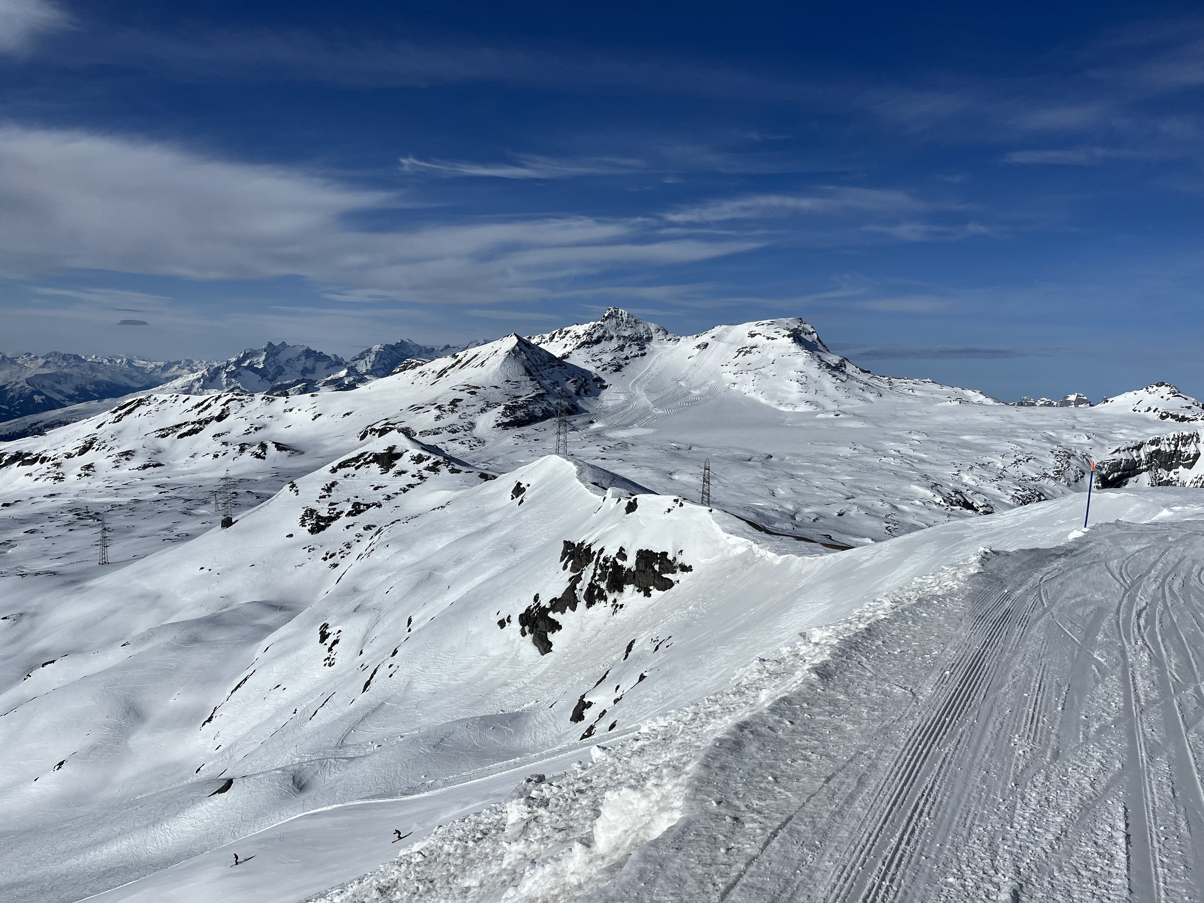 345D2612-7A21-45DE-9E63-2B5837F82E52.jpeg