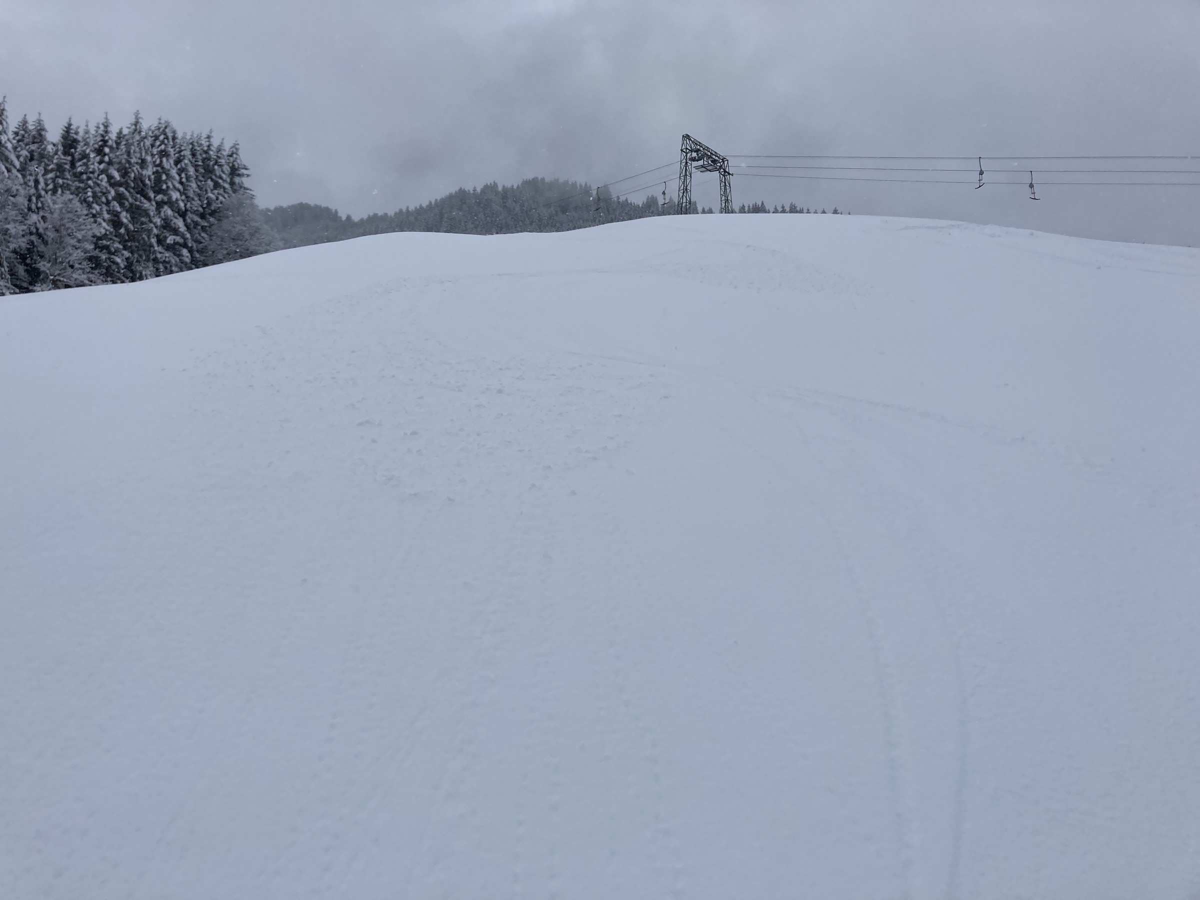 35F67D08-B6DE-4FE1-8C22-2347B564AF68.jpeg