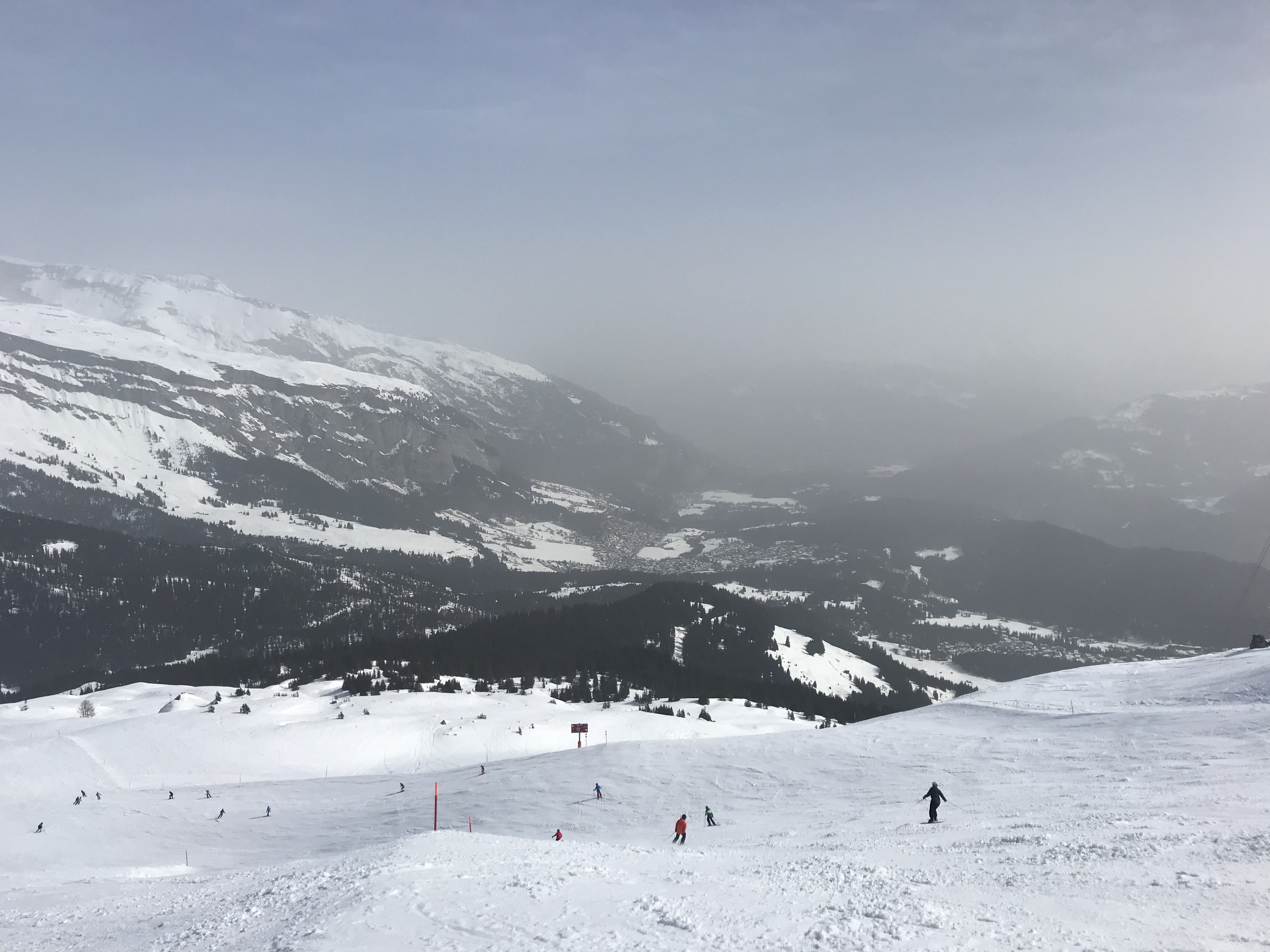 369E1897-9387-4039-A47C-4271DF075D23.jpeg