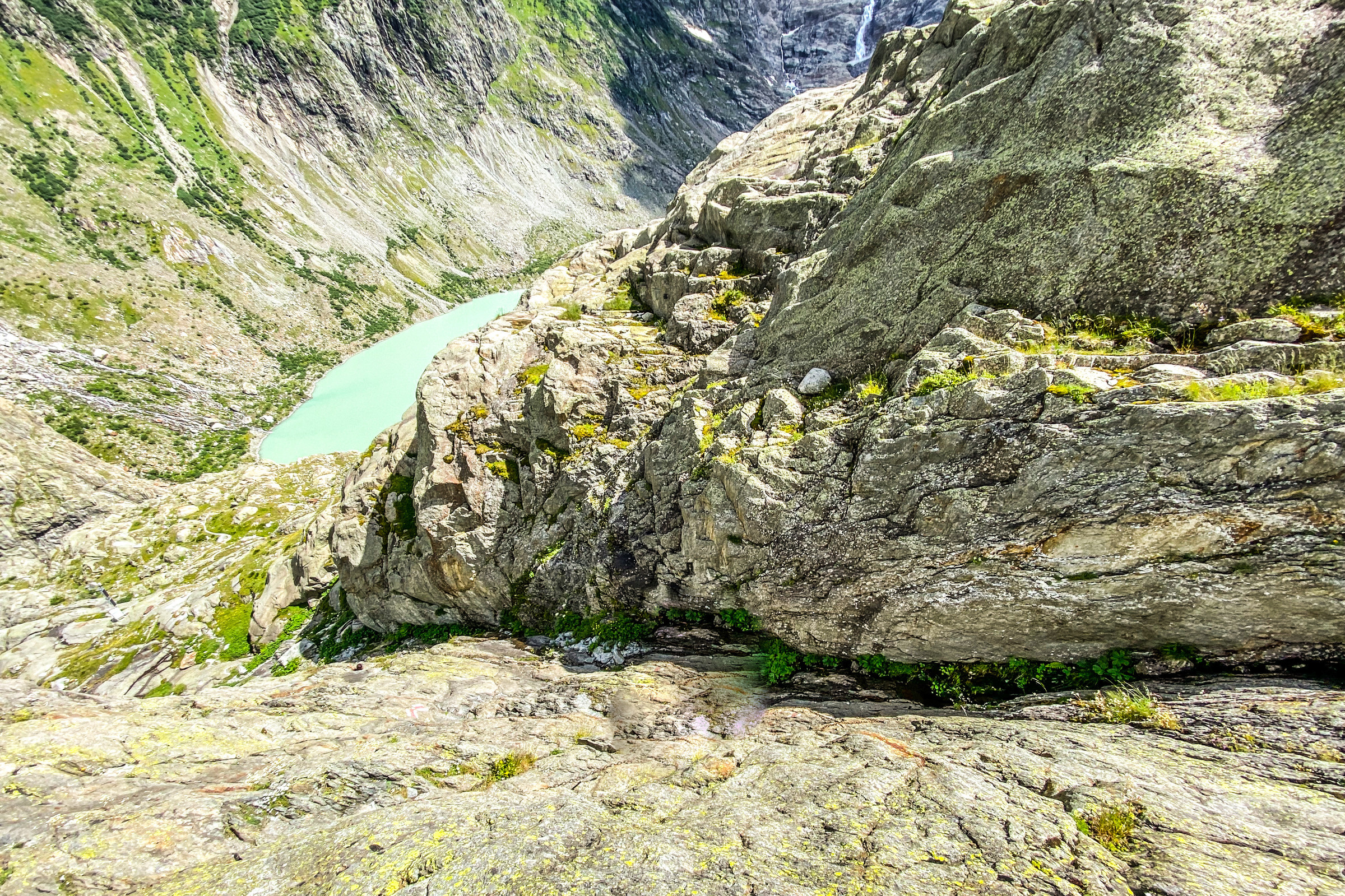 37F2D868-D8F5-4231-A64A-0FEC12A67239.jpeg