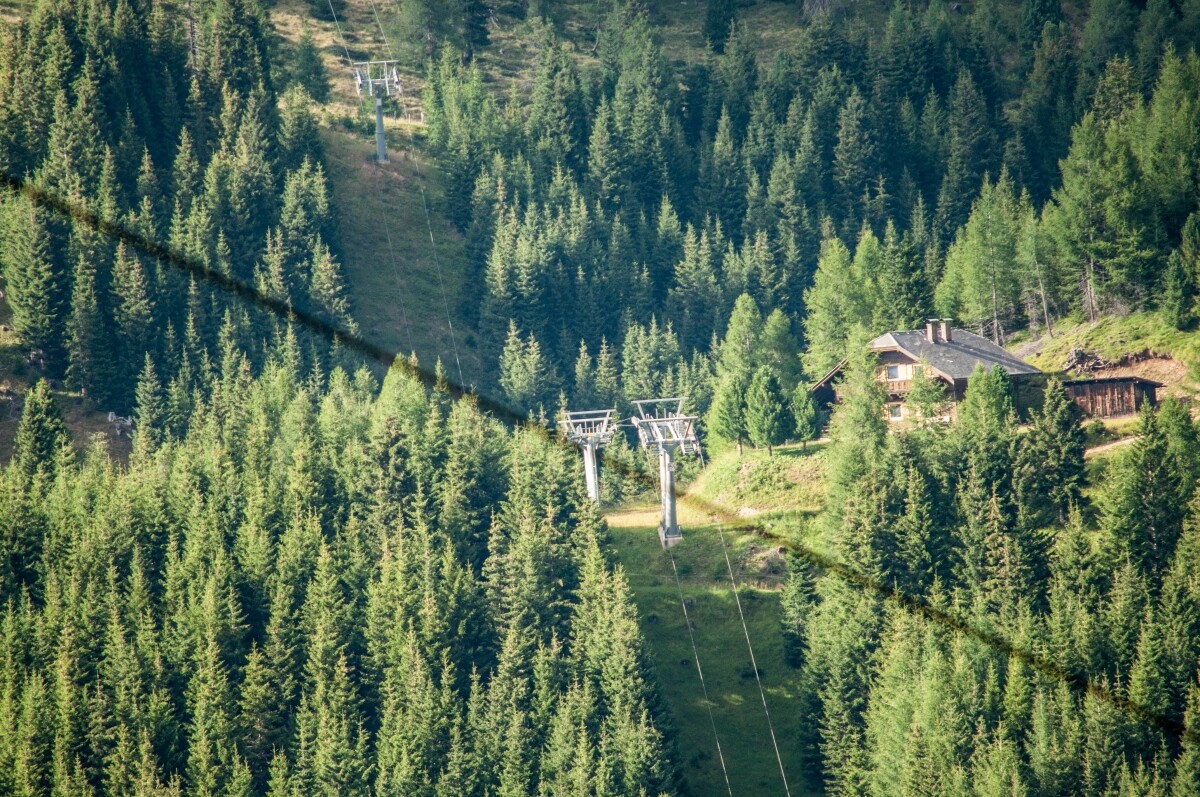 38.JPG