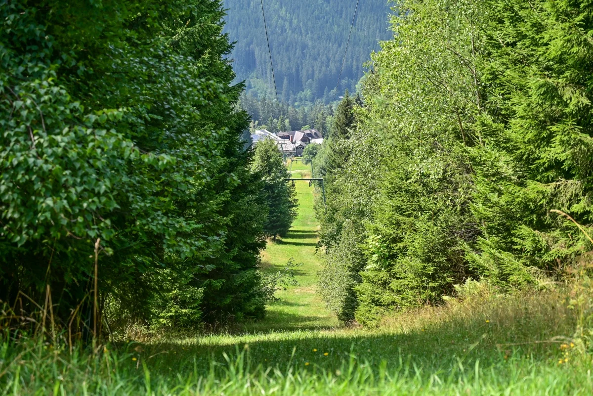 39.webp