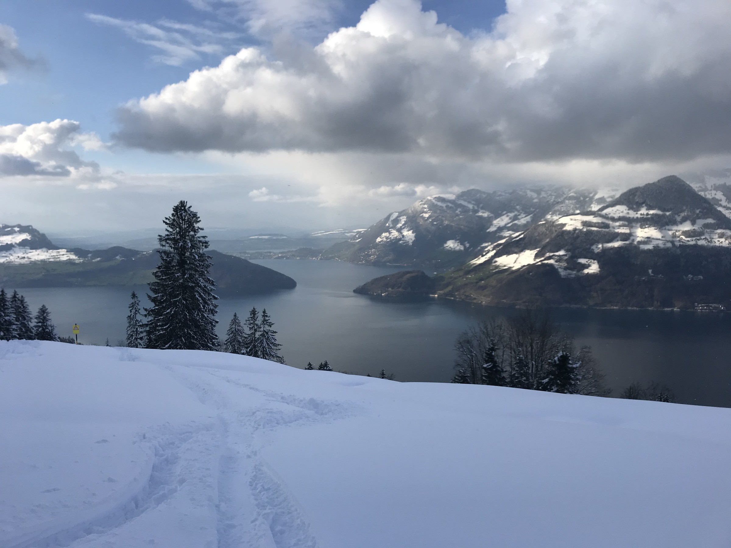 39F8CE20-7166-47EA-8BA6-316D009B4E08.jpeg