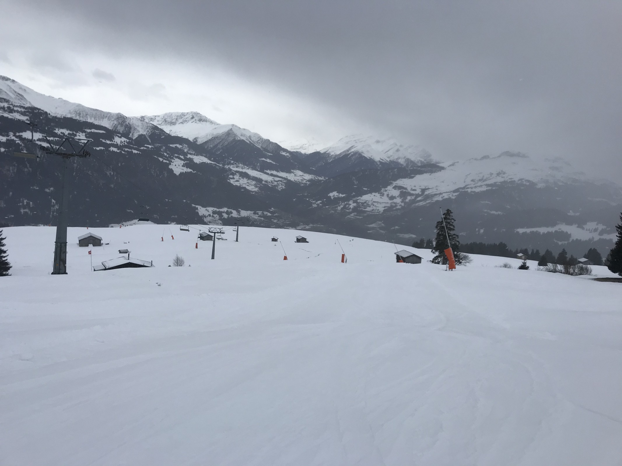 3D354895-DA09-4020-A6DF-4A93D545168C.jpeg