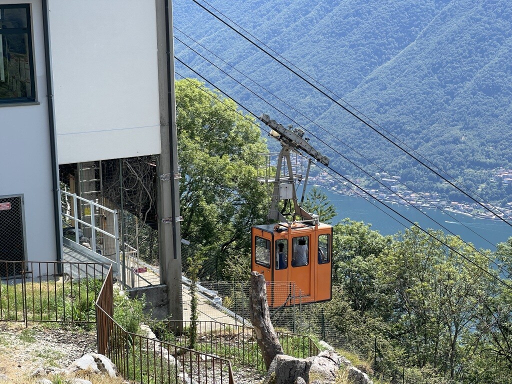 41.jpg