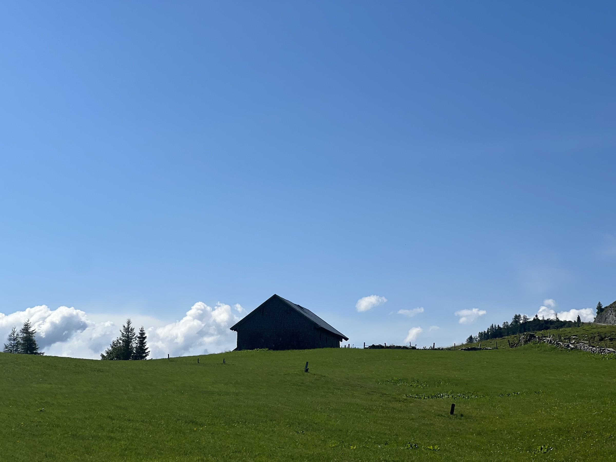 41F3295F-0EBC-45FA-8387-2612E0EA5718.jpeg