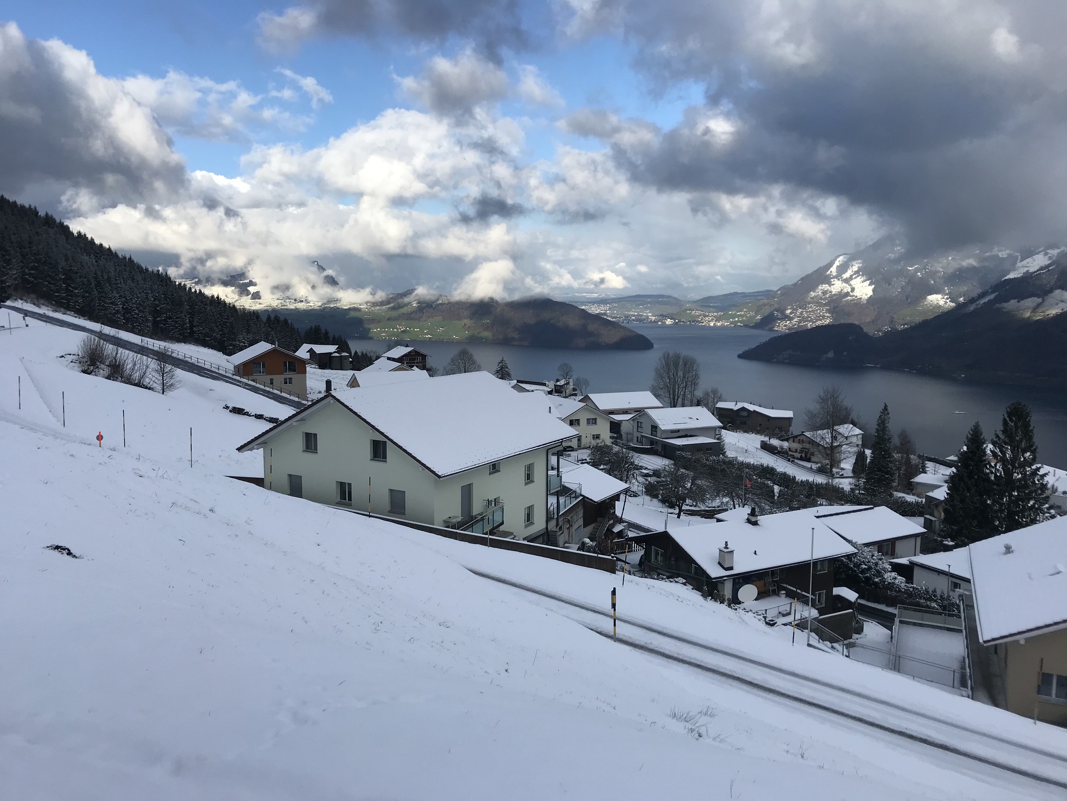 449D77C0-7105-46C4-AB26-E9AB1B706524.jpeg