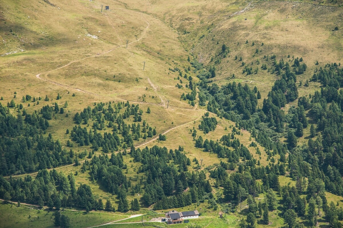 46.JPG