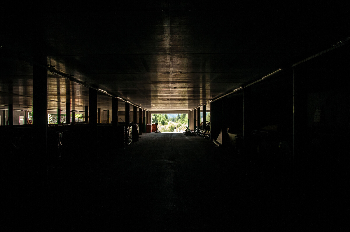 48.JPG