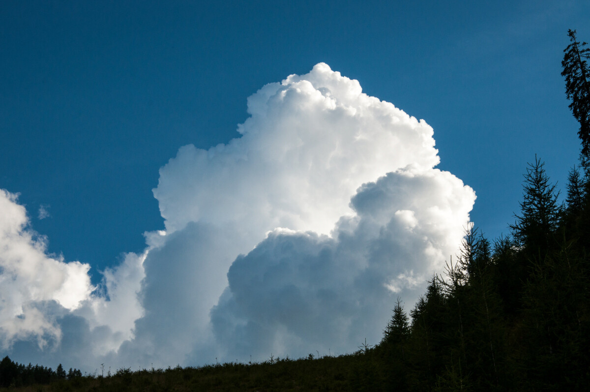 48.JPG