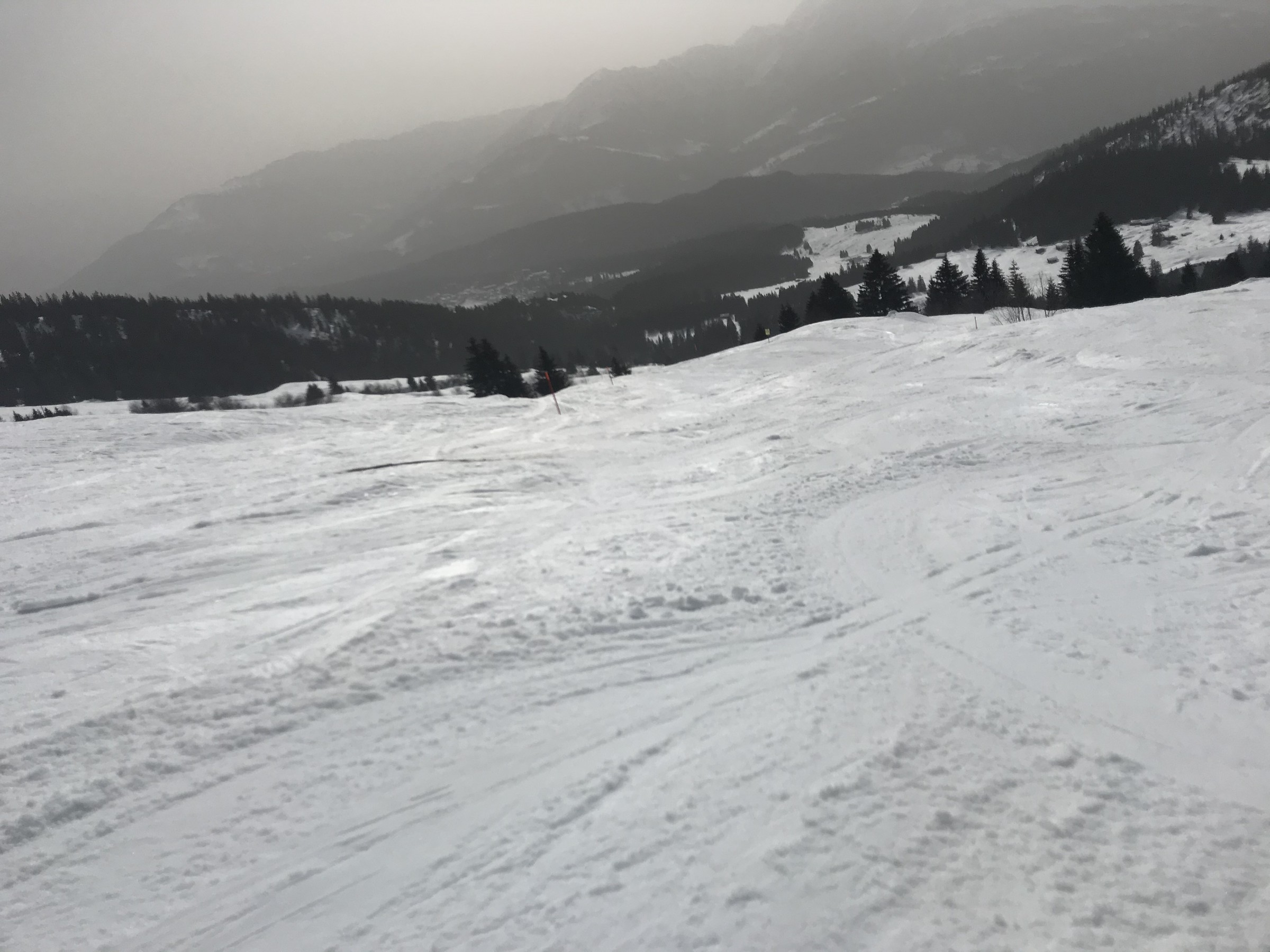 4EE31B11-FAED-44CE-B71B-FA2F8631B7FF.jpeg