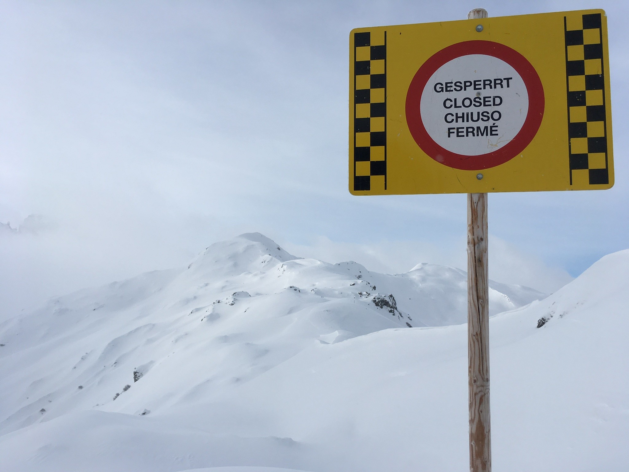 4F4F2812-4B05-4B34-80B3-6B4F4A8A2FB9.jpeg