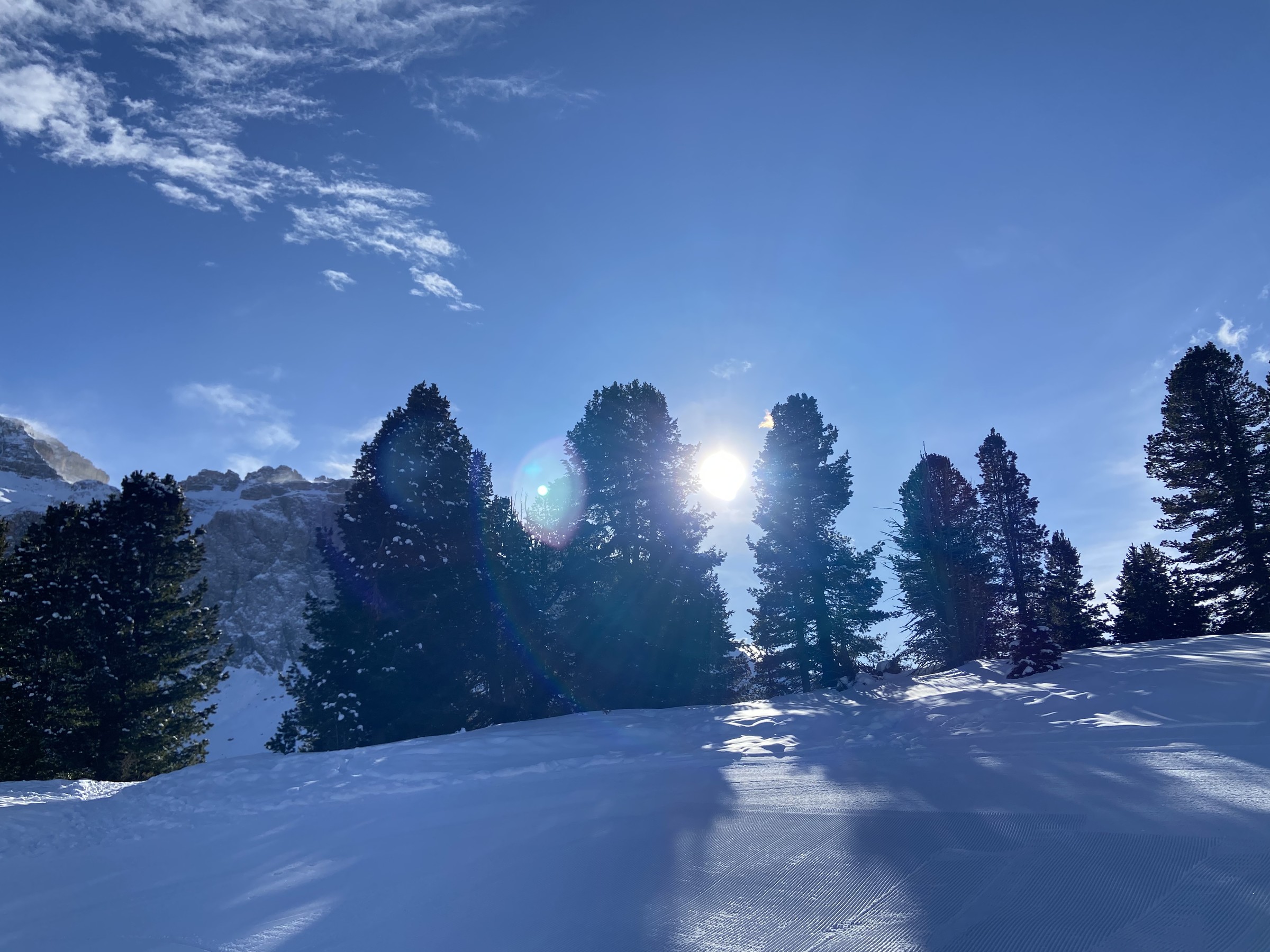 544957B2-A6D3-487B-A6A4-0FE577620253.jpeg
