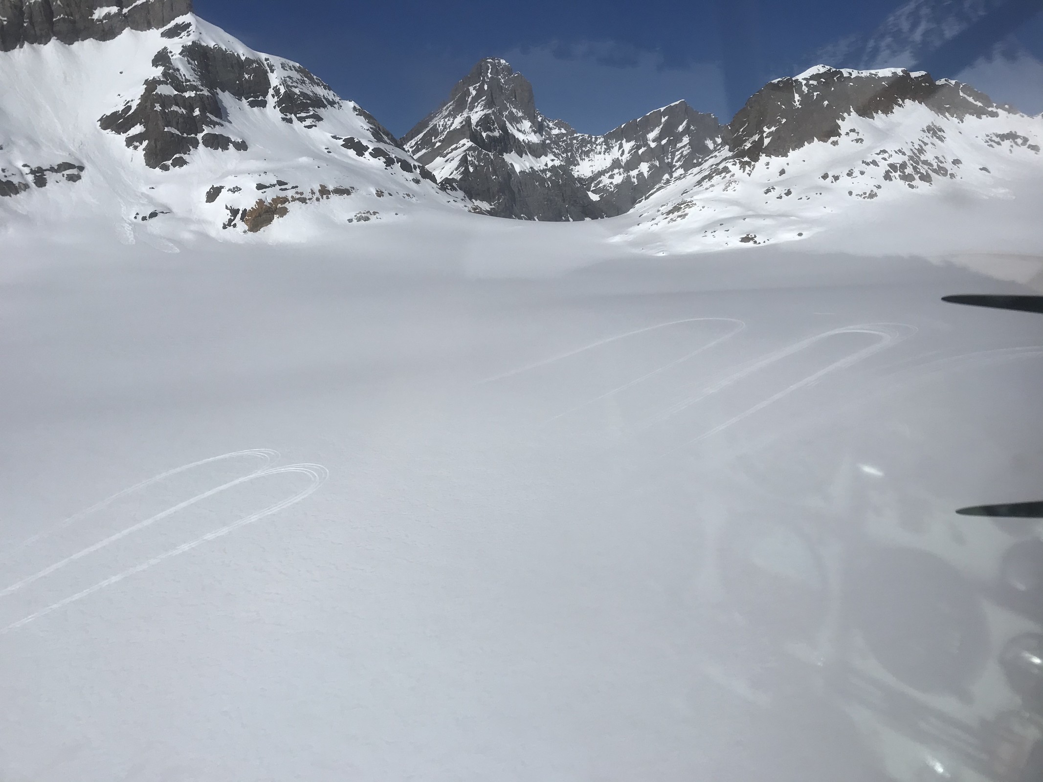 54C37D89-2ABF-42F4-9733-E3689401B8A6.jpeg