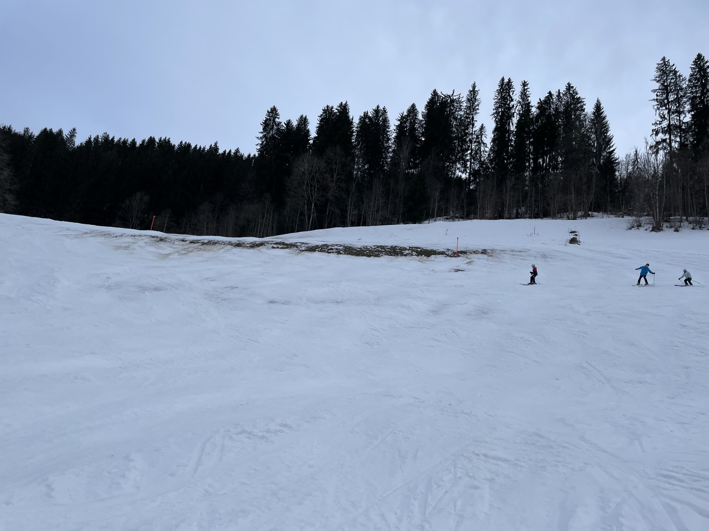 557D00EC-1298-4736-A0DB-D6409575DD6E.jpeg