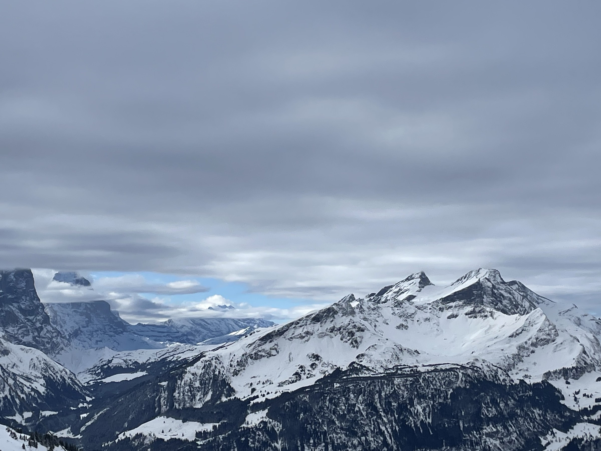 56871FCB-0764-47DA-9492-7141D8250F46.jpeg