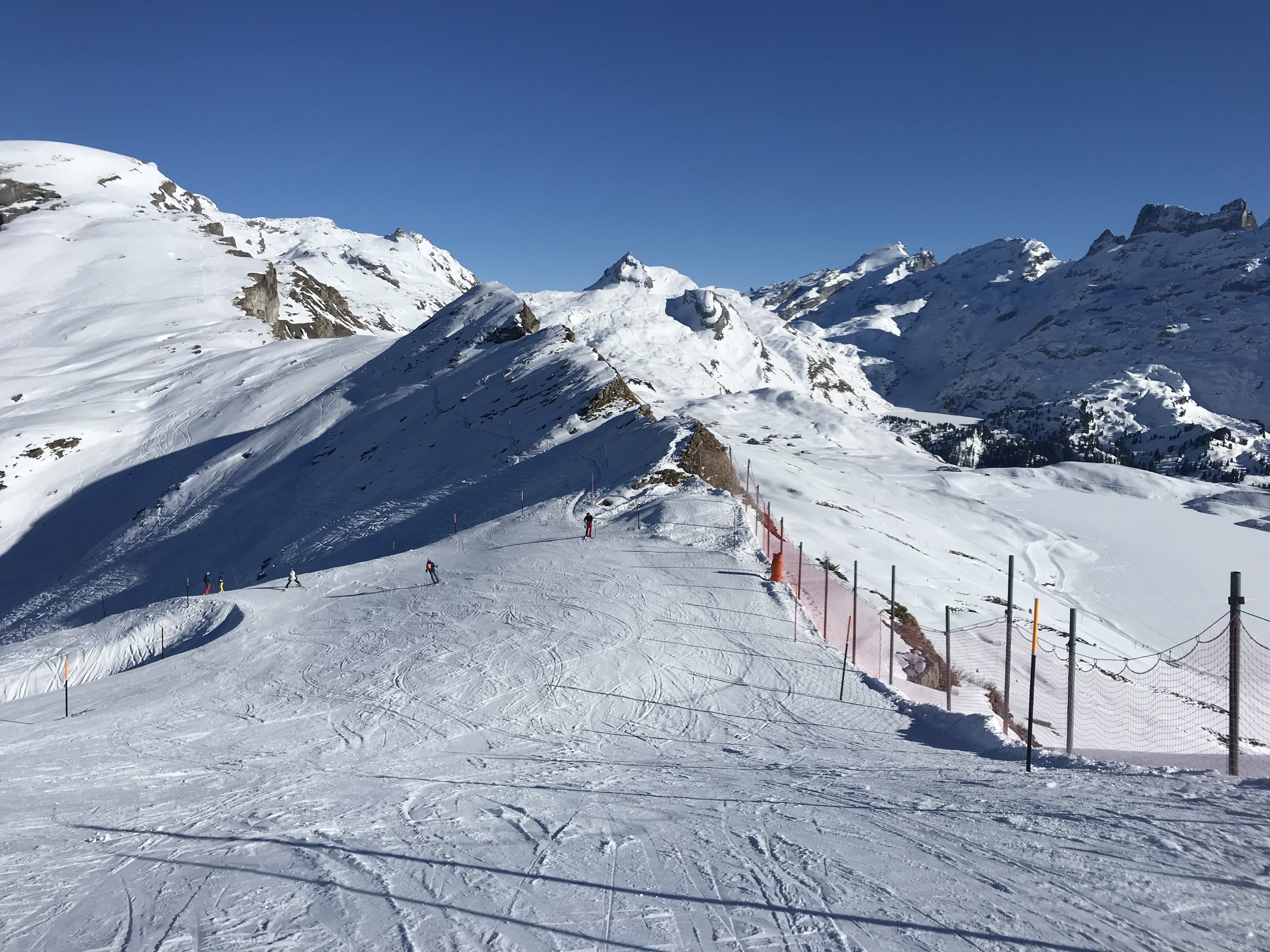 57008FA8-6C03-4D7F-99CF-5AD6ECBA0757.jpeg