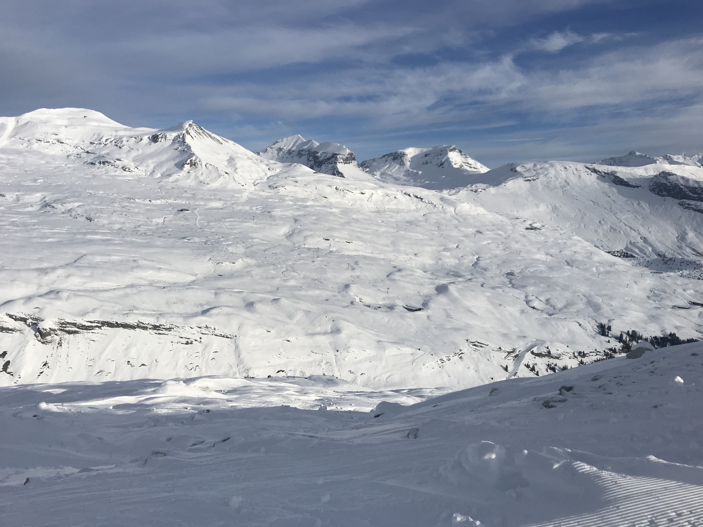 57F76739-5FFD-4370-B515-E8D715BC0875.jpeg