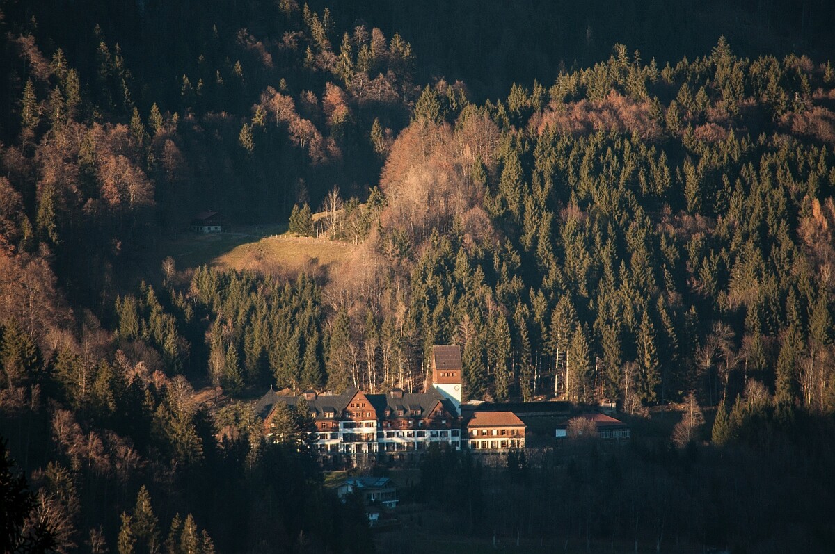 58.JPG