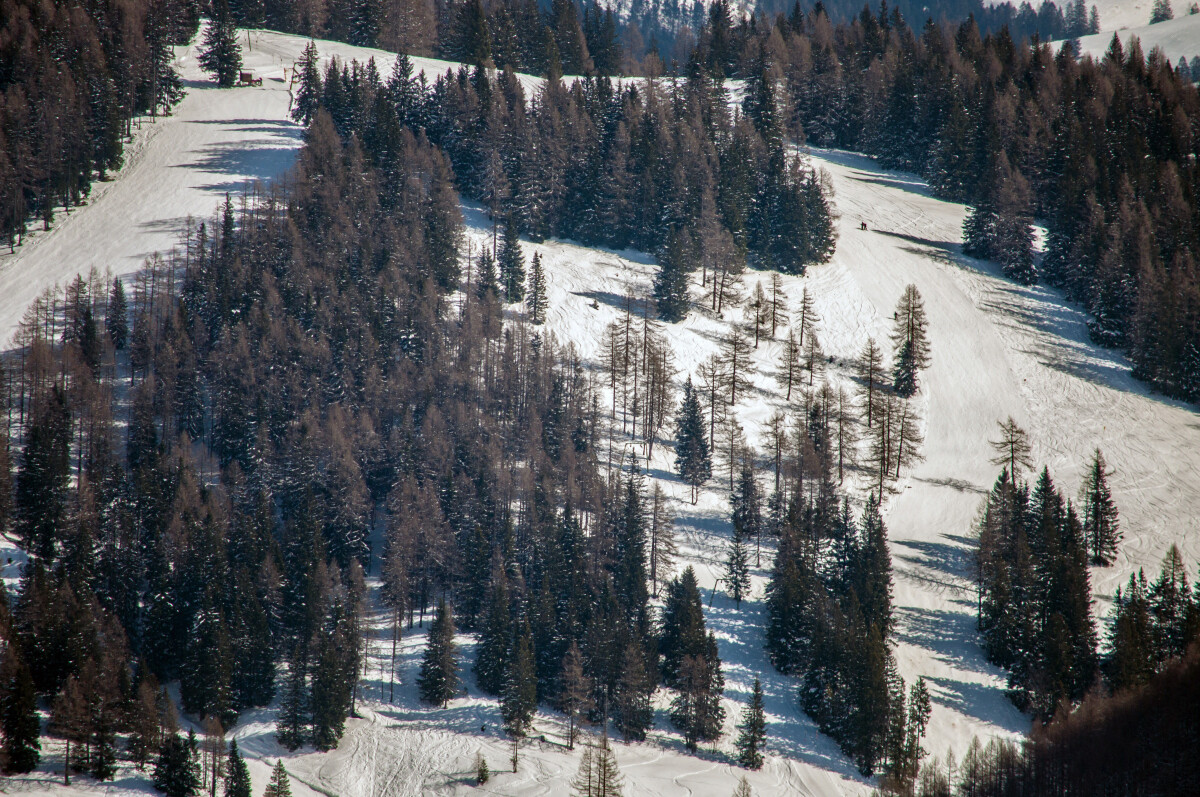59.JPG
