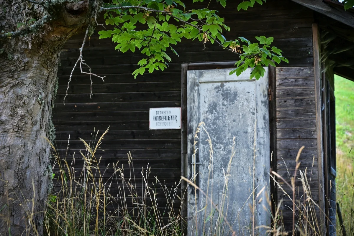 59.webp