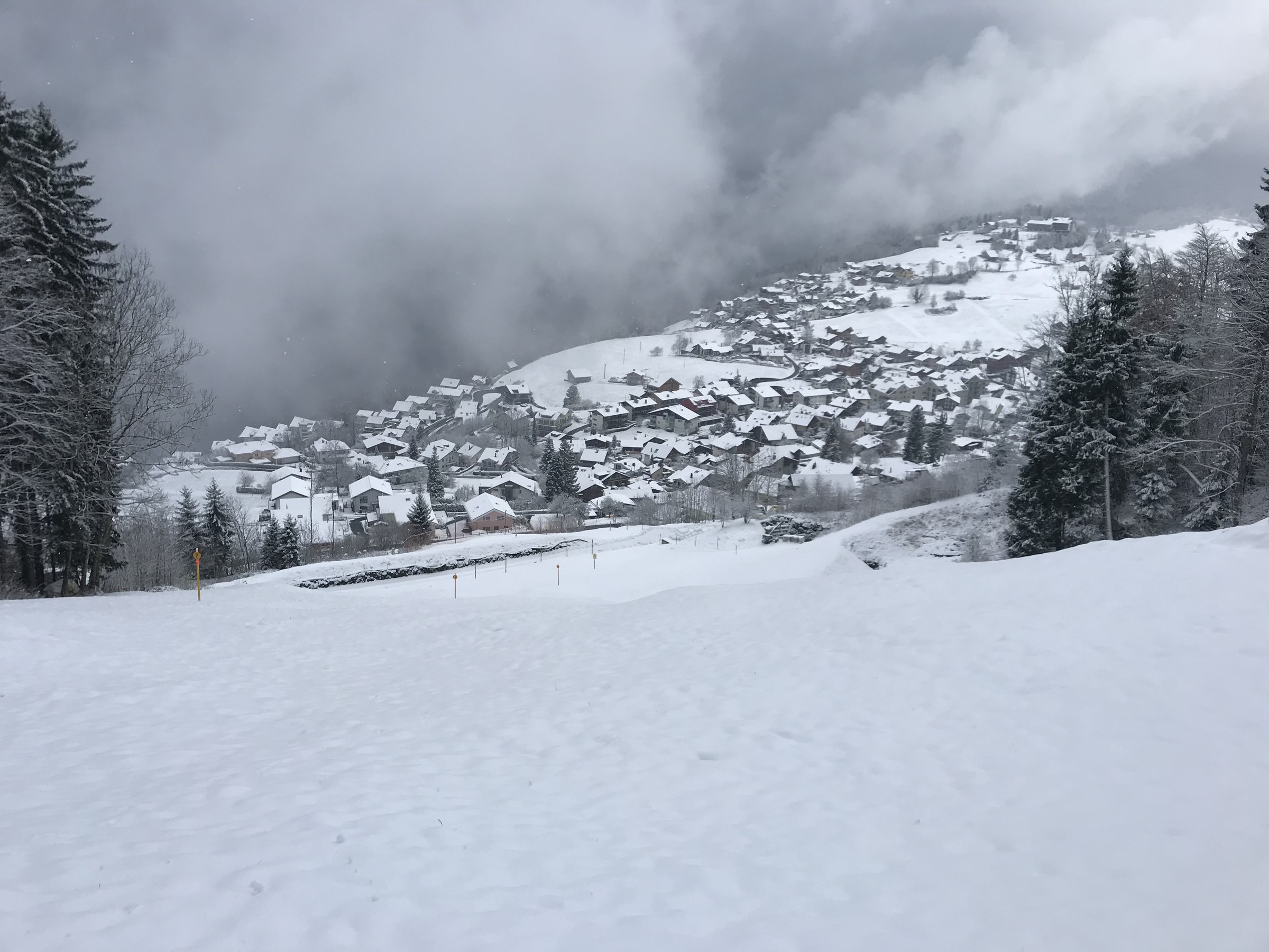 59EA6789-EA17-47DB-84F0-13177D3EEA09.jpeg