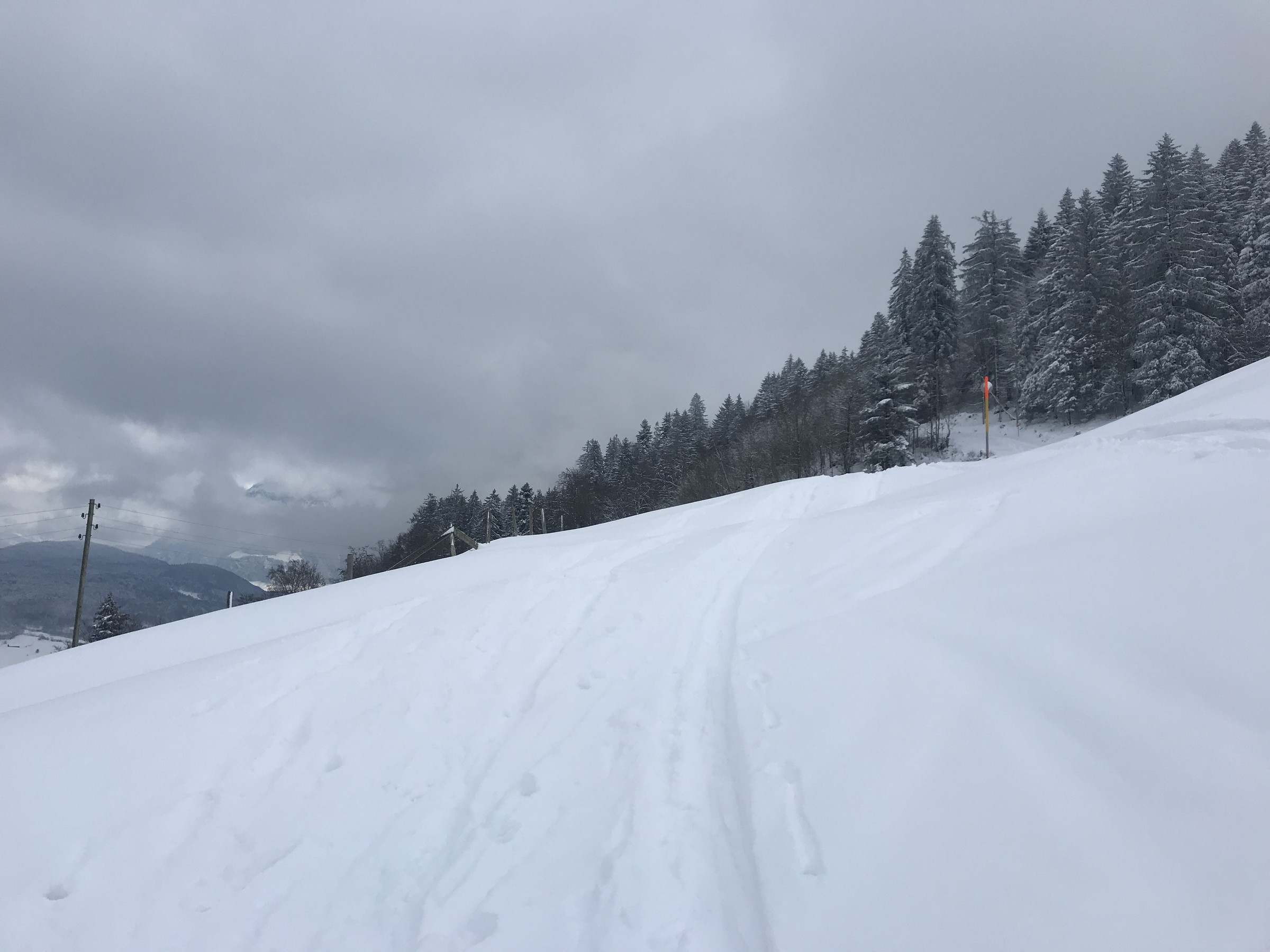 5A9E0CED-48C6-4574-86FB-06D78CE34C8B.jpeg