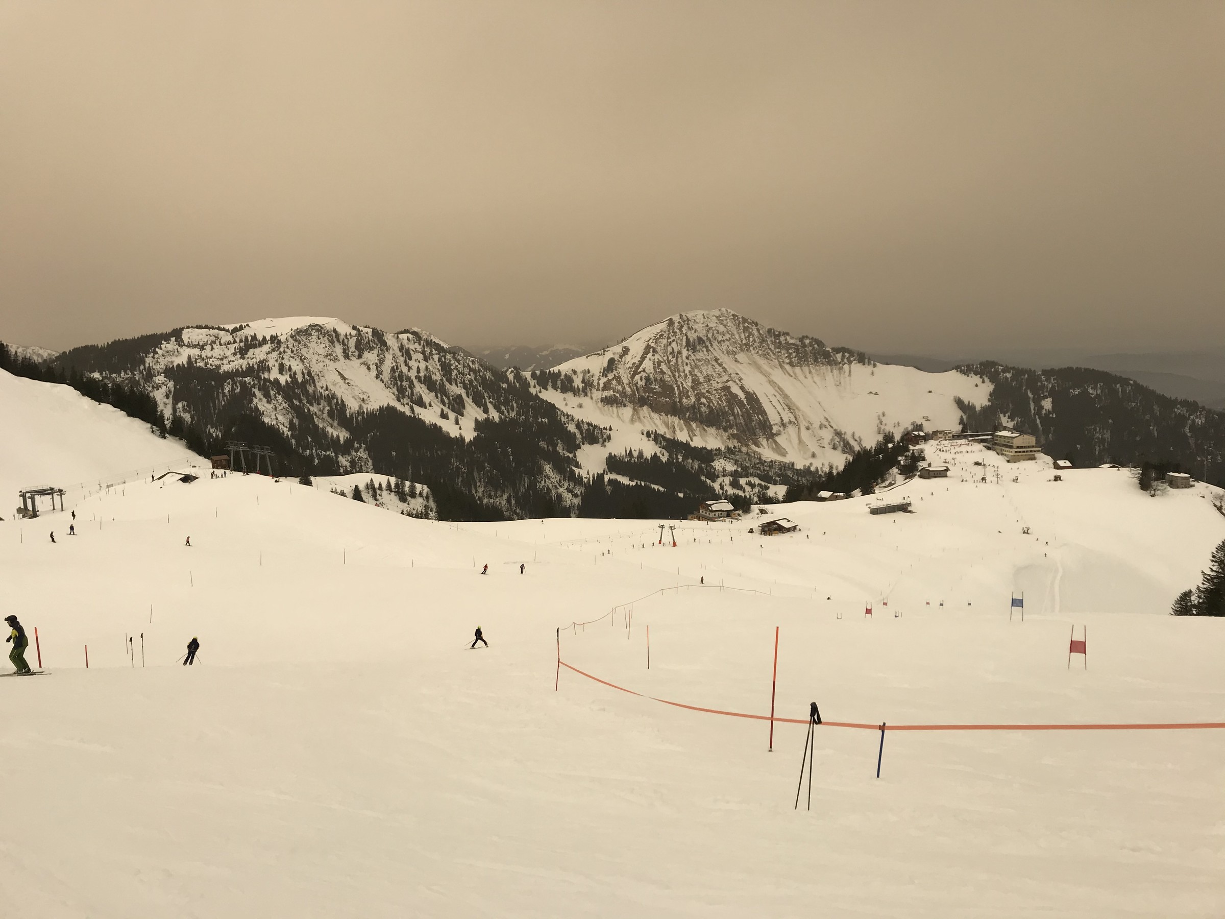 5DF1A619-0E12-4B3C-A8BB-D2044AF077B5.jpeg