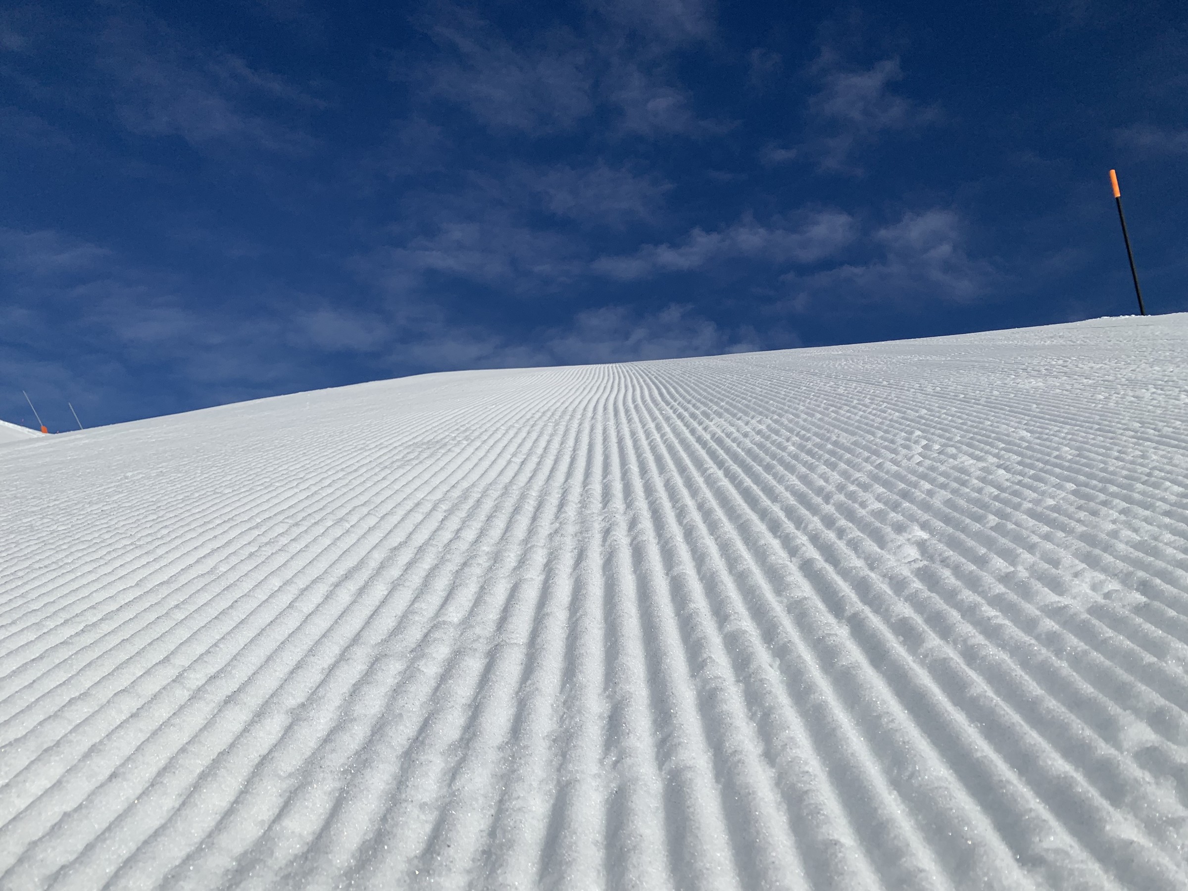 613C245A-0DB3-4541-AB9E-93AB371CFEF6.jpeg