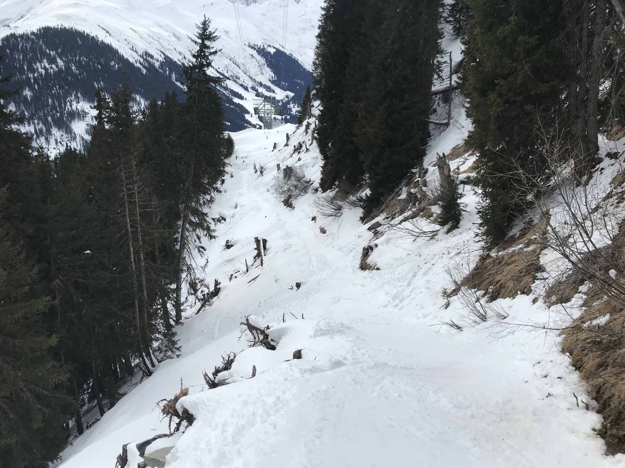 63E10496-E007-46F2-B199-58609282236C.jpeg