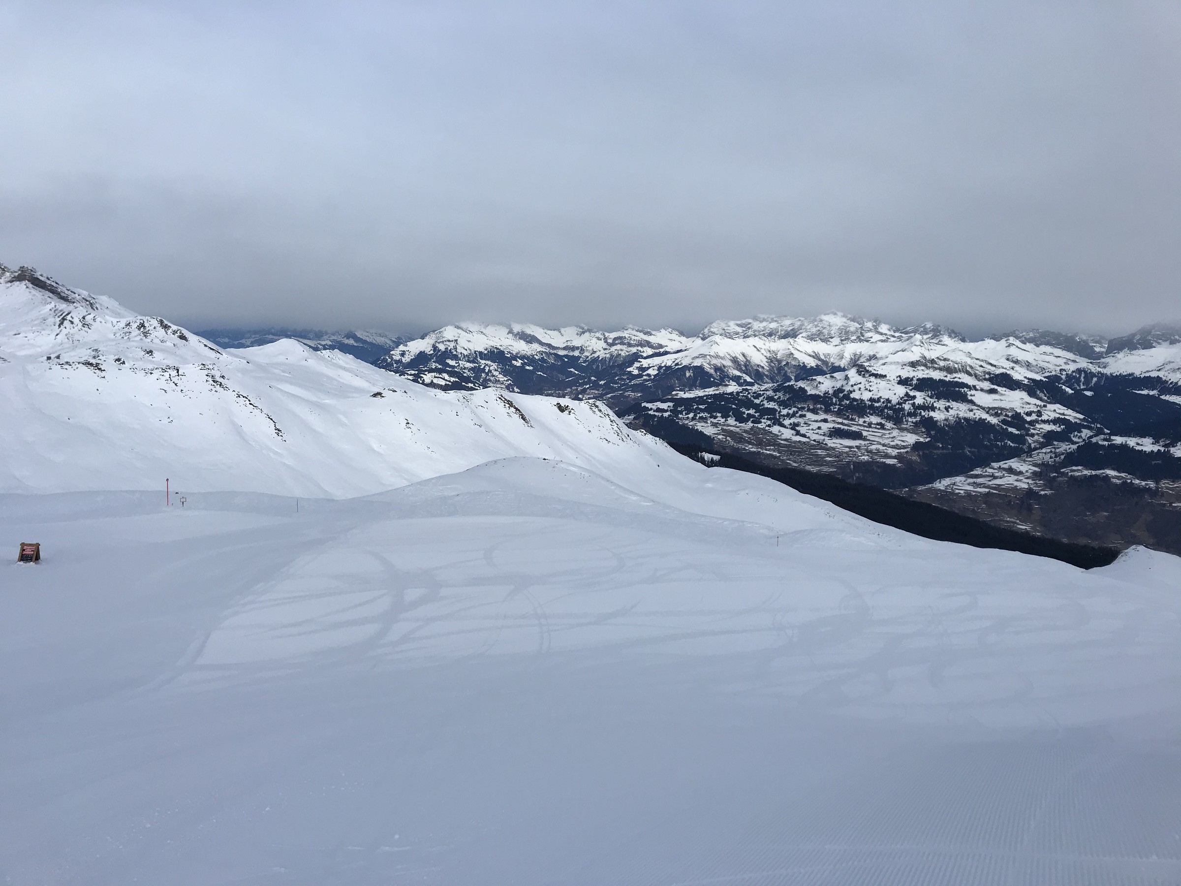 689093FE-5571-4E80-B42E-ACA231230106.jpeg
