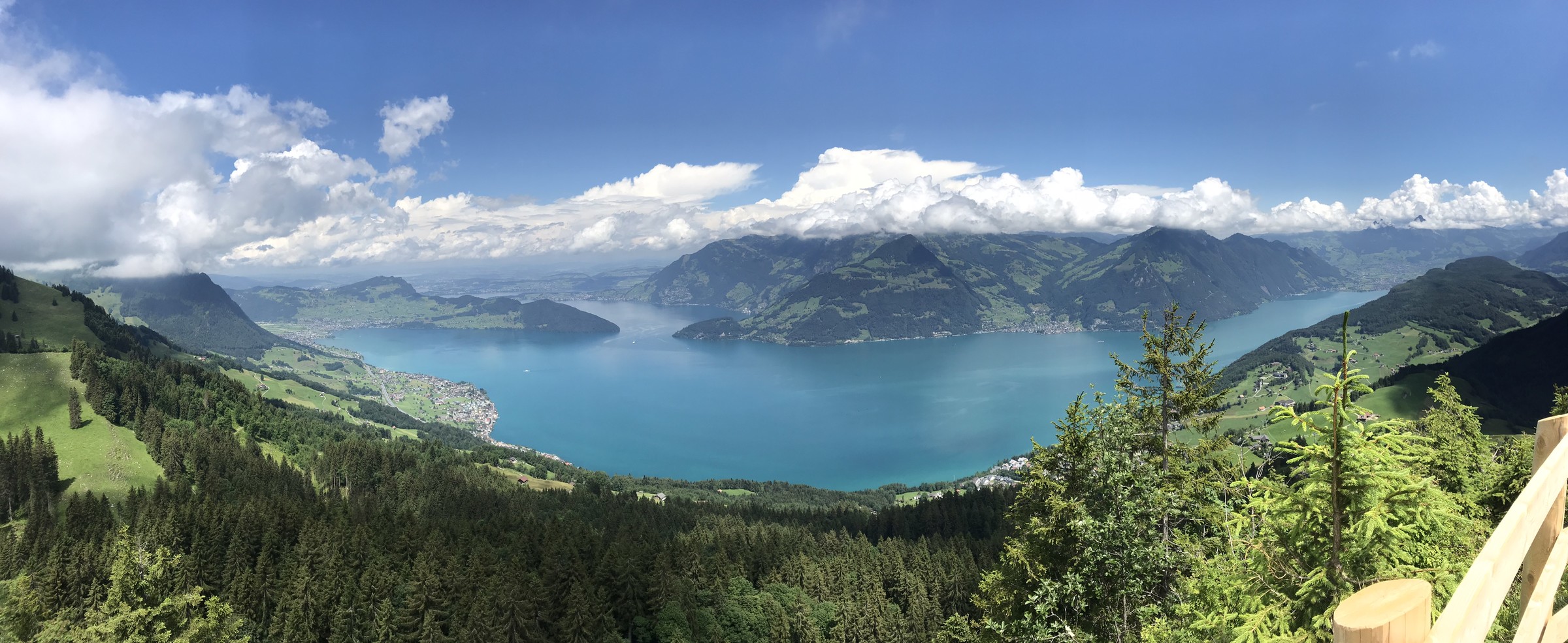 6D545D20-1765-473B-AA1A-CE4F660B449C.jpeg