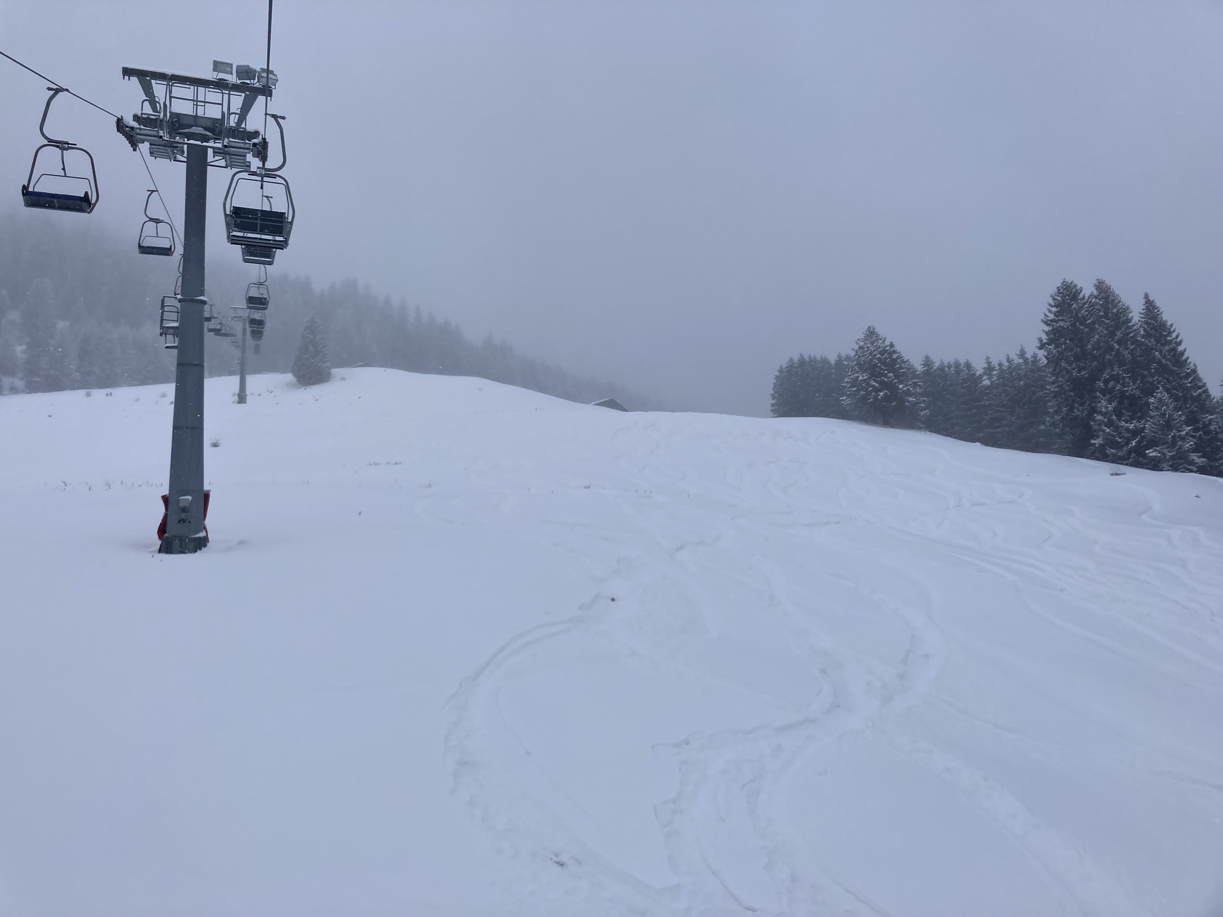 6EA4636D-460D-4AB0-A010-FA2F0EF8261F.jpeg
