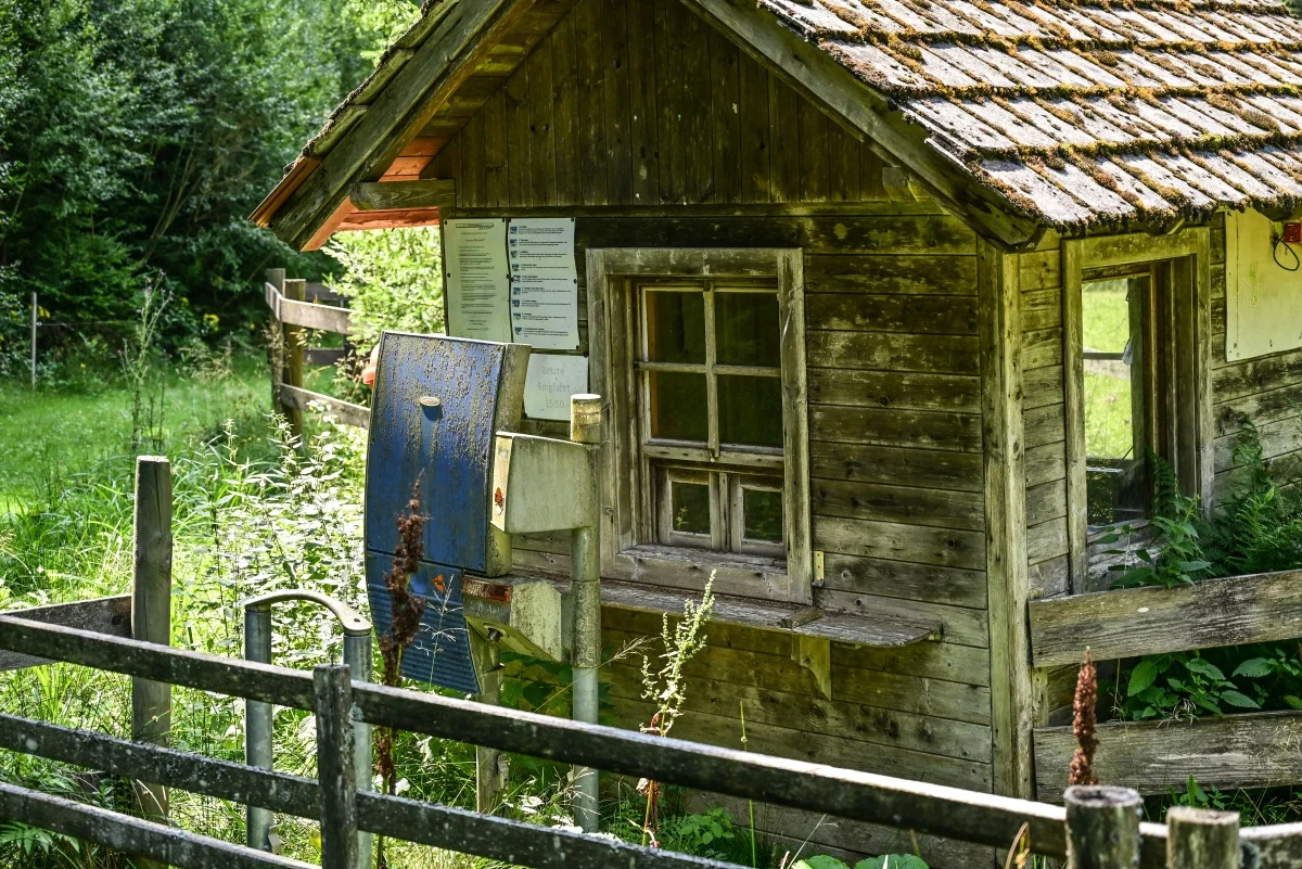 70.webp