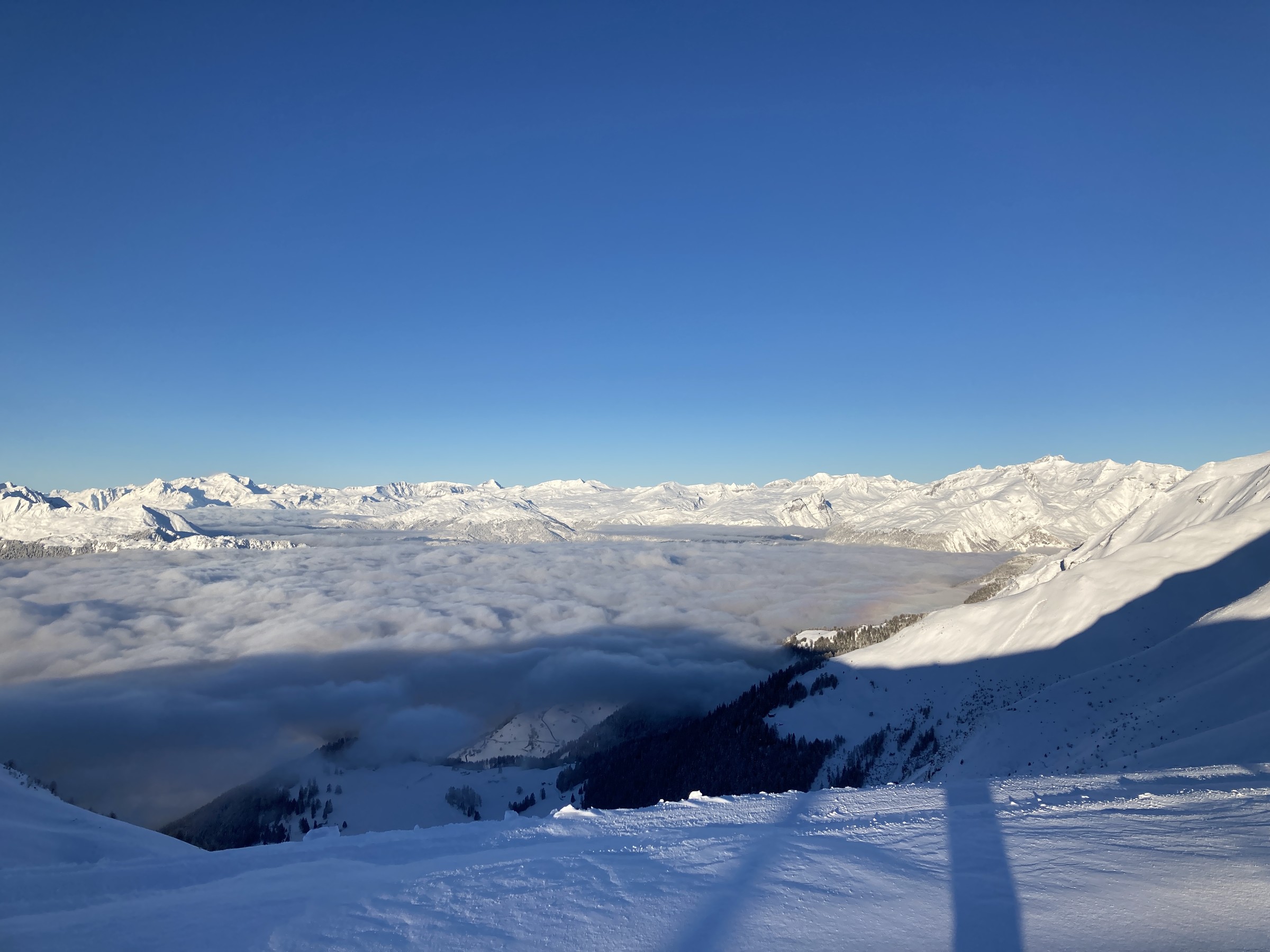 719BFCCF-593C-4F2E-A3EA-9497BF8079F4.jpeg