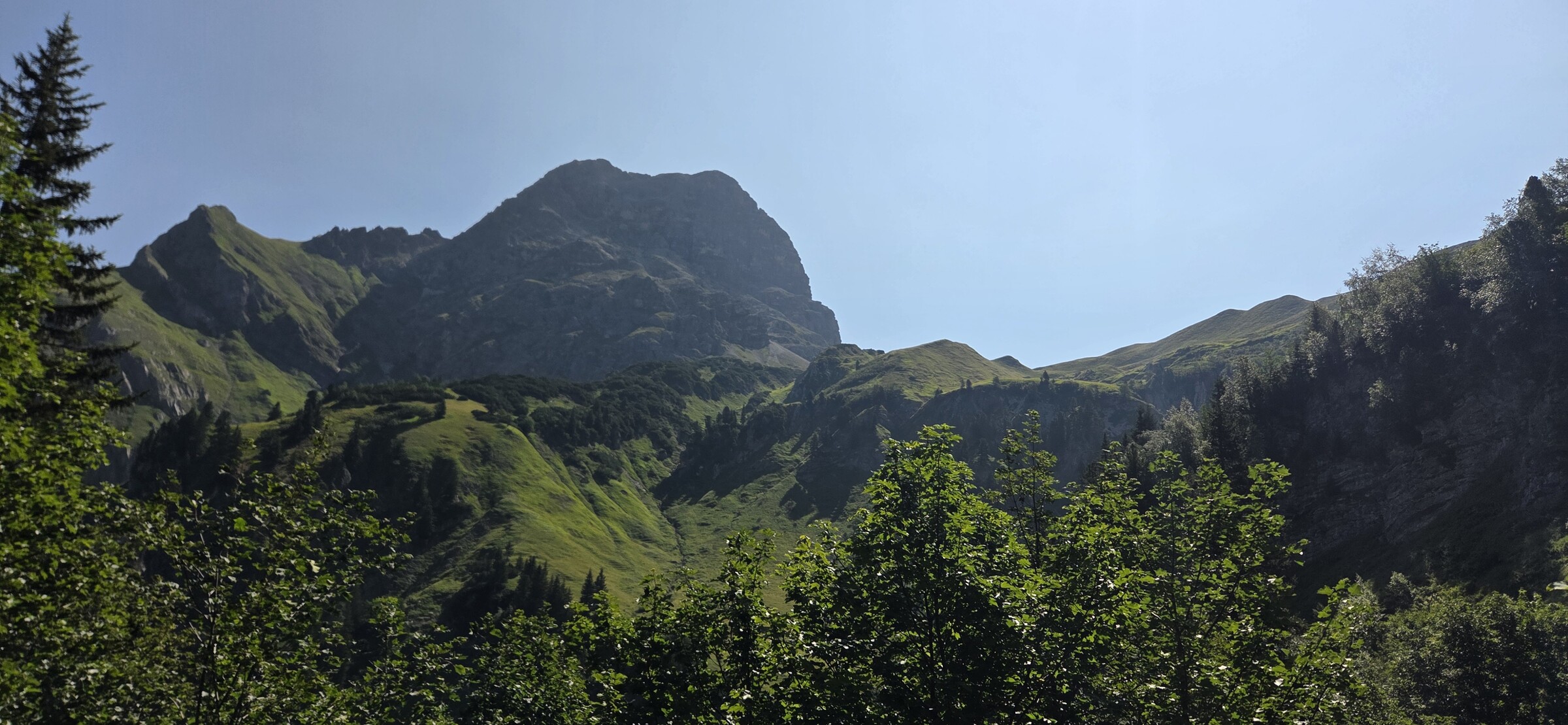 72554.jpg