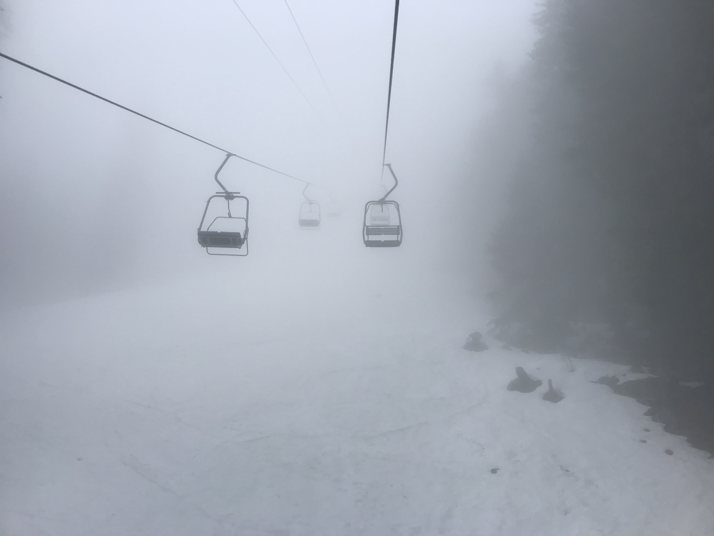 72F2E033-4DD5-4C51-9656-D5298B27595C.jpeg