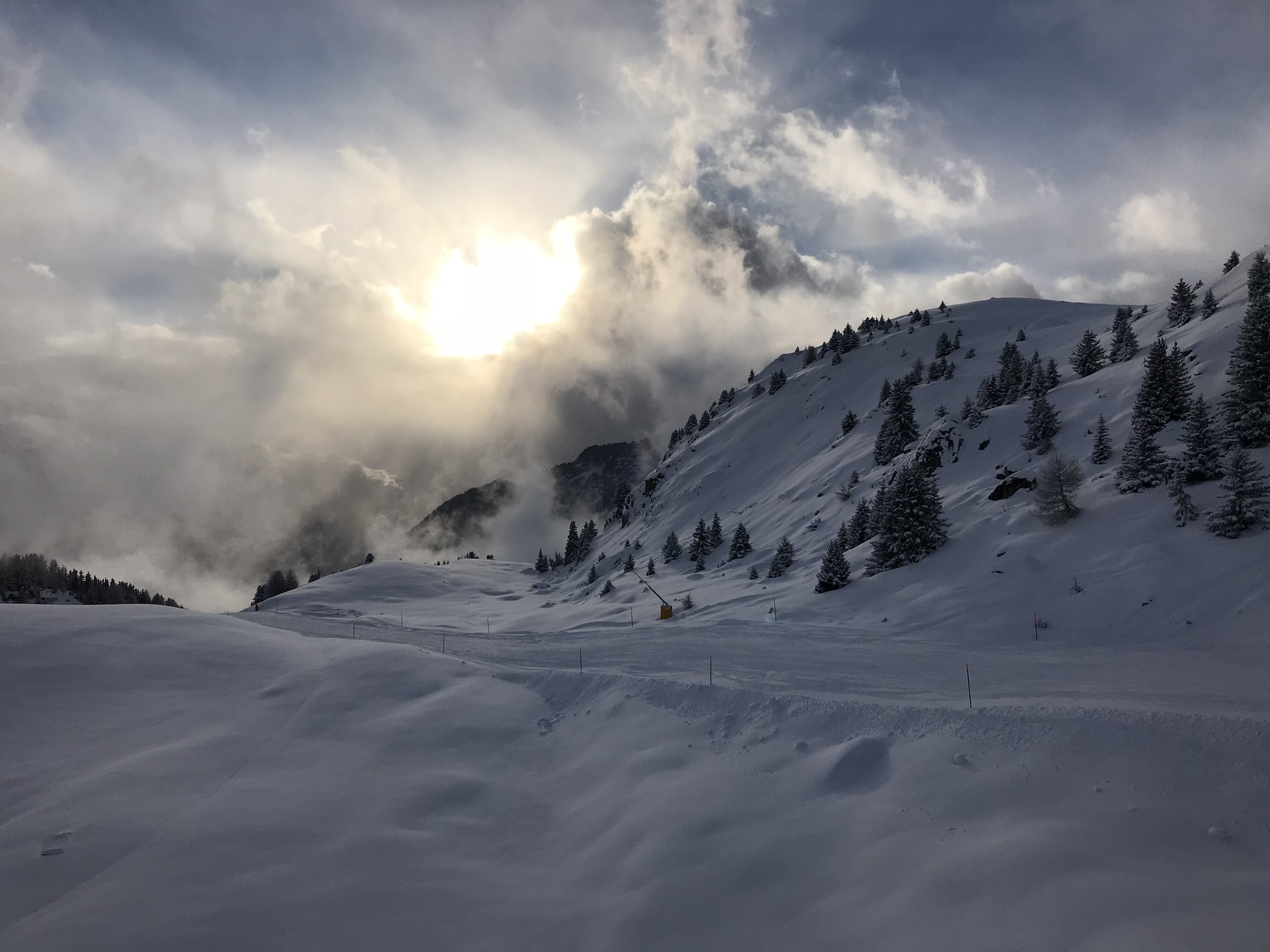 739CF08C-3832-409F-AD3C-7E7B6167DBF6.jpeg