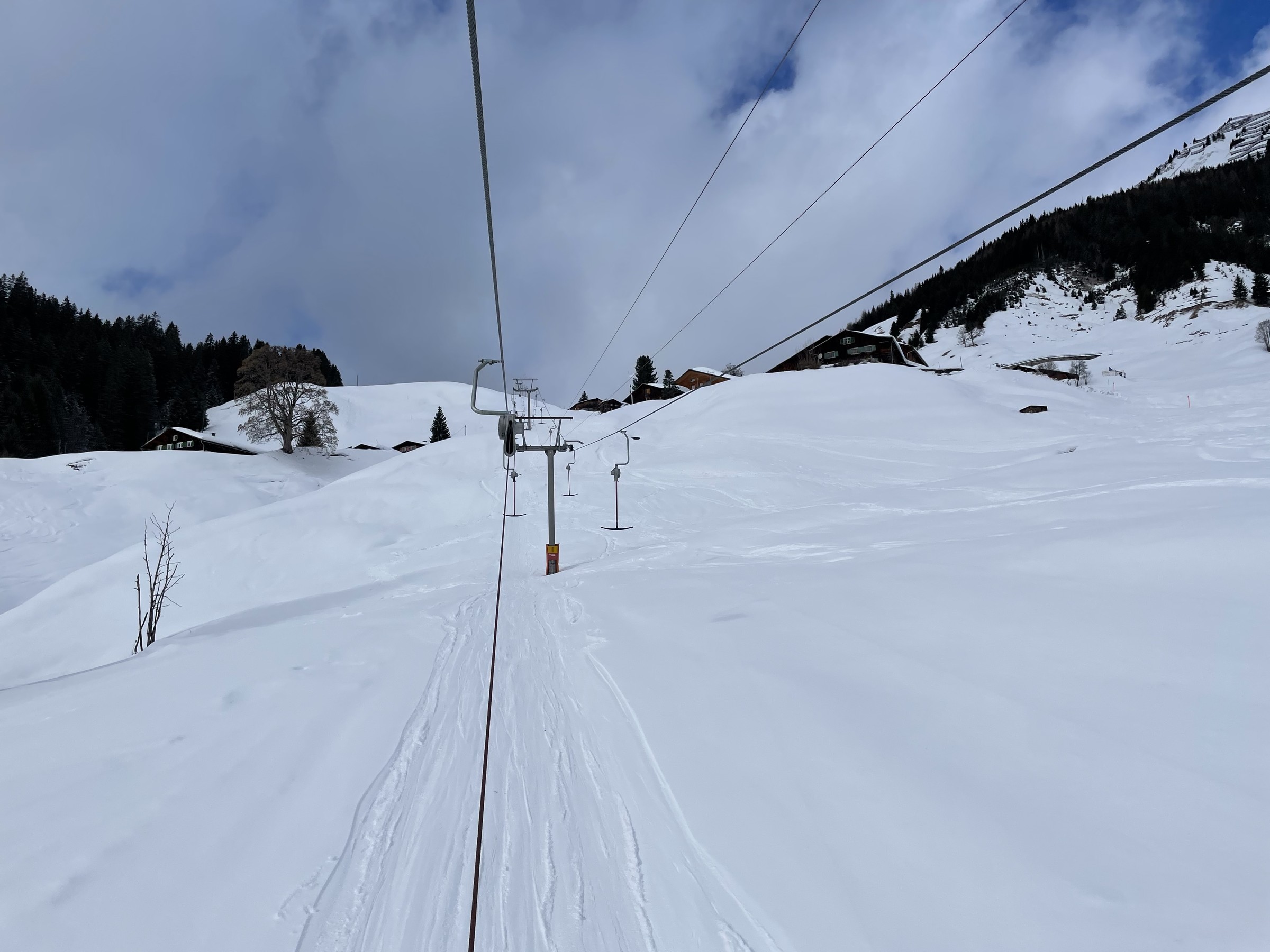 74F38997-EA7B-4819-8885-68245BDAFF79.jpeg