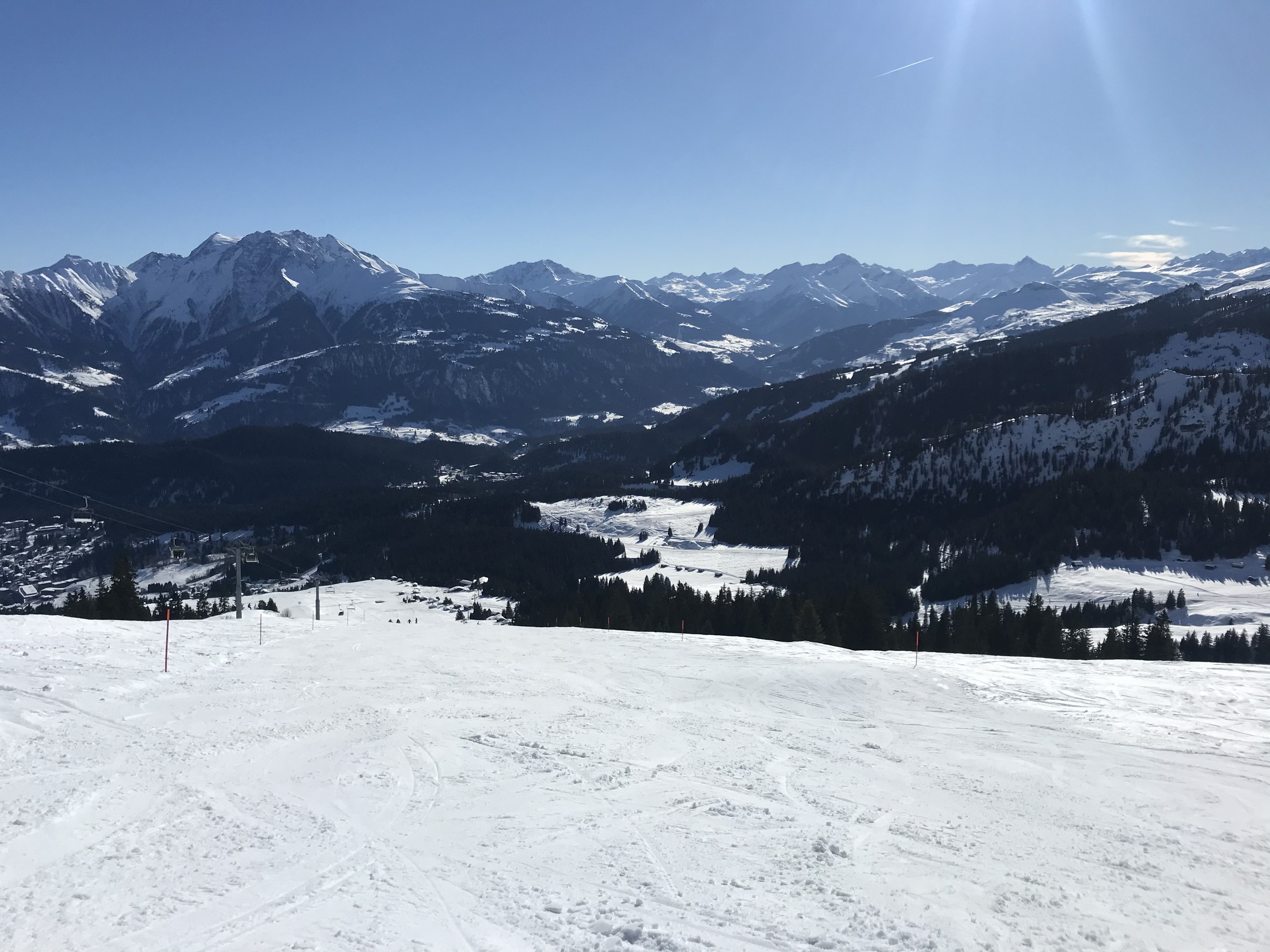75C6C0C1-C91B-46BB-AE2E-45736E81364A.jpeg