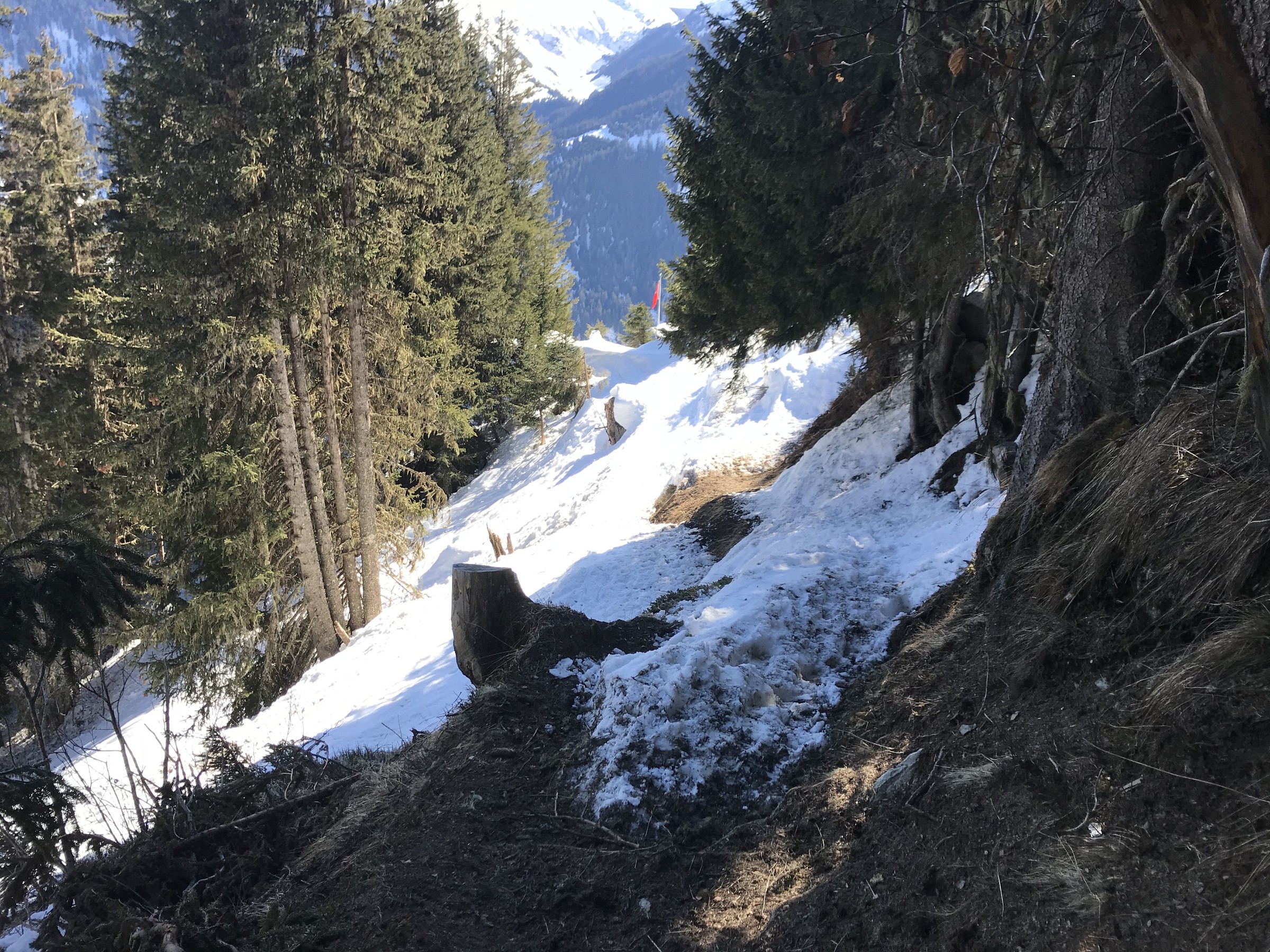 7619BF7E-1F9C-478C-AAD8-462D0E218E1F.jpeg