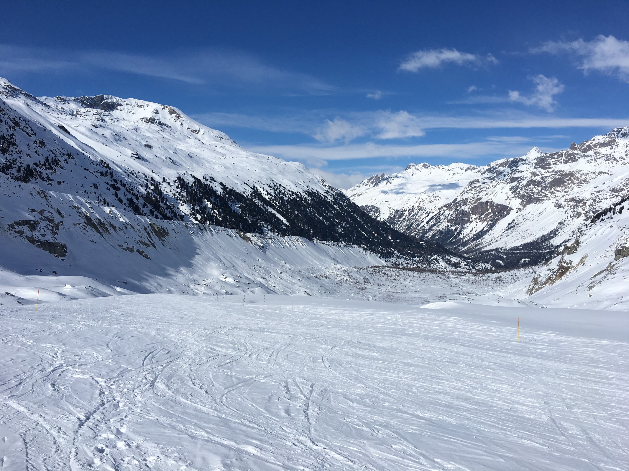 7856D91D-1AF0-45EC-A7E5-0E2739A95198.jpeg