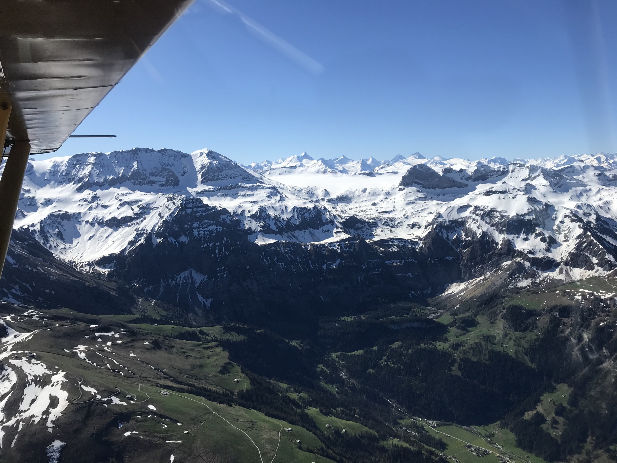 7EA90886-0D6A-47CF-A97B-3F96BD94C0CE.jpeg