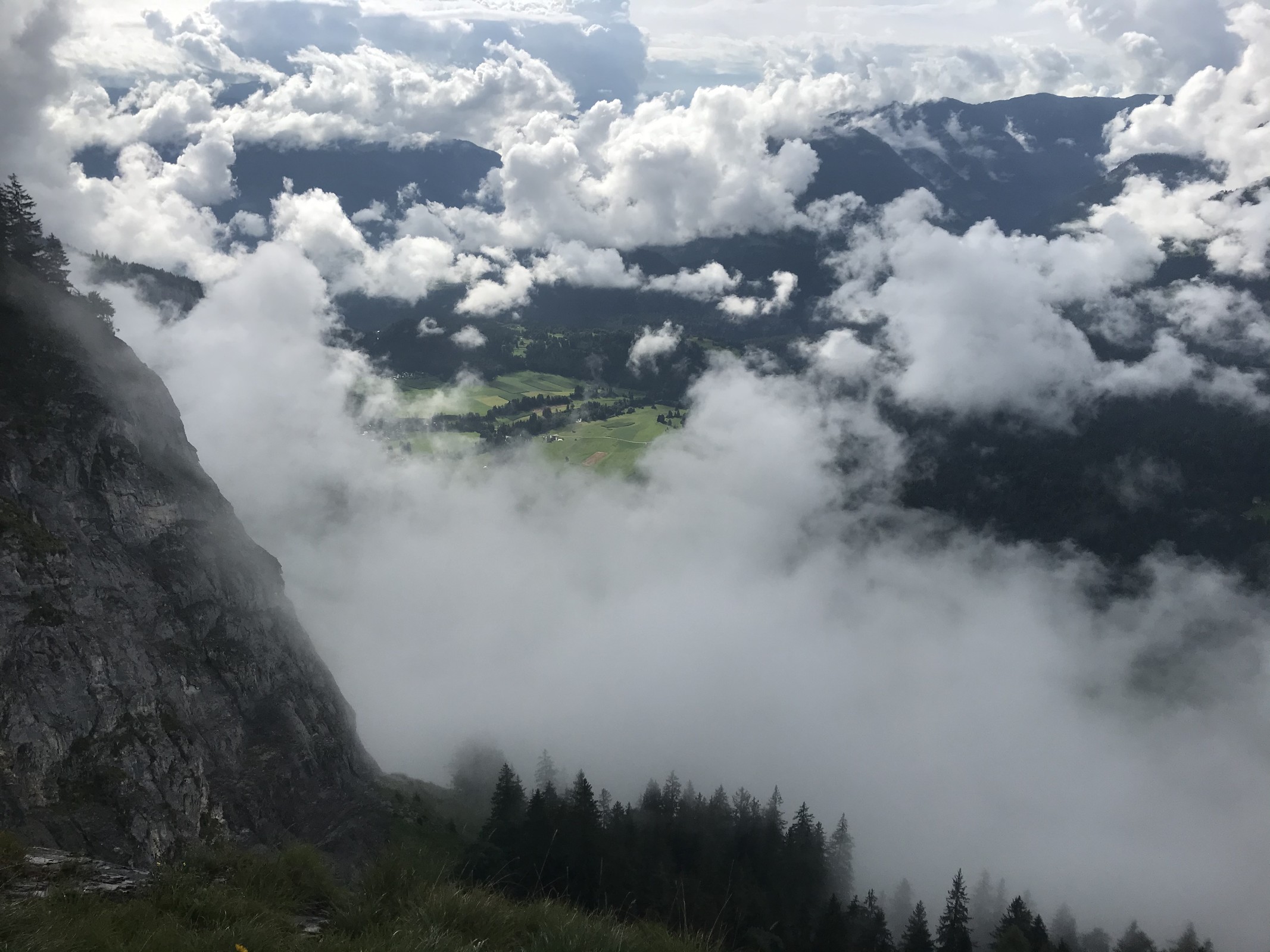 8038801A-32A2-4BBC-9E69-C78B90C391F2.jpeg