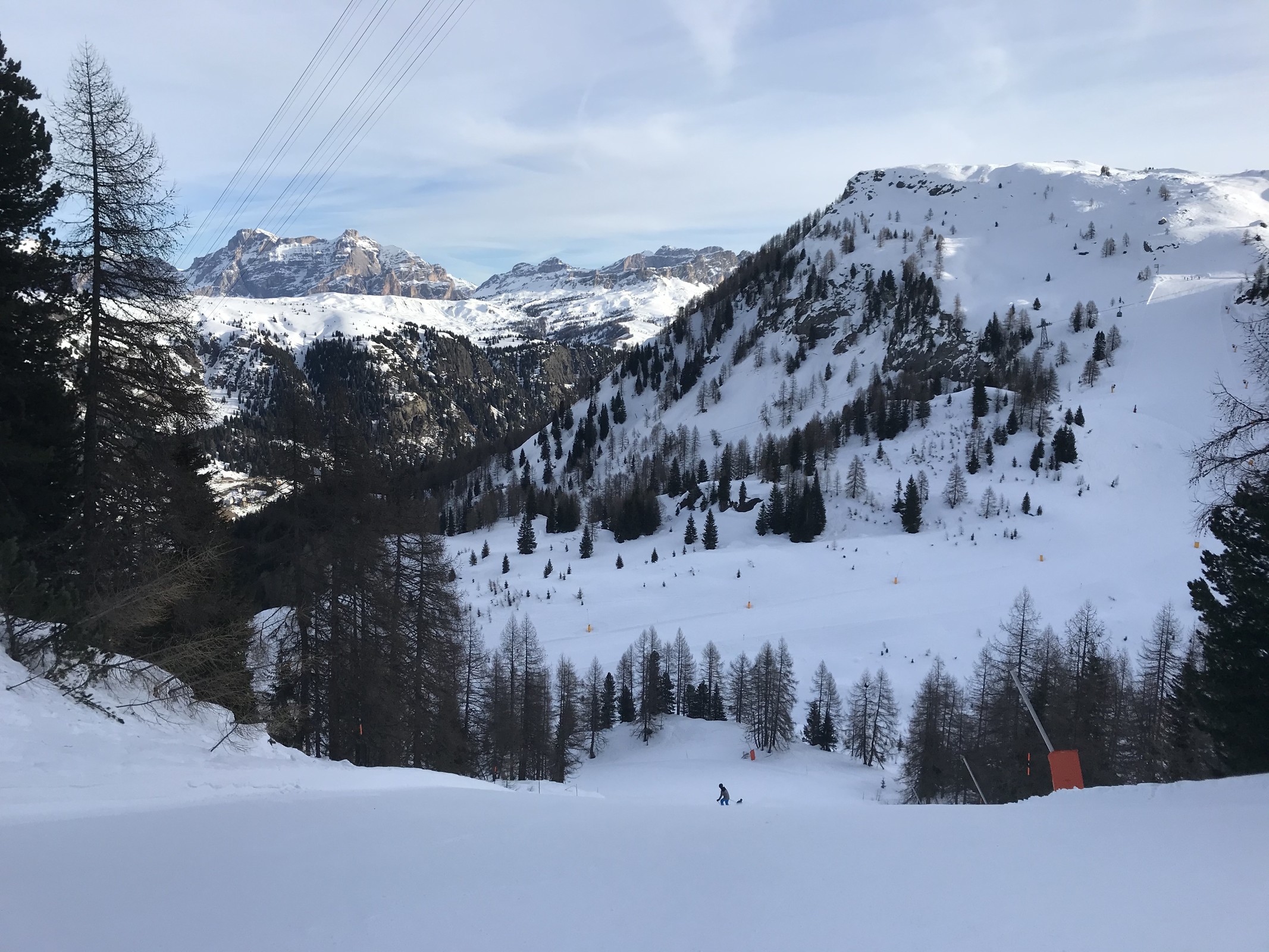 83367E2A-05AB-4E55-81D1-771C80C545F7.jpeg