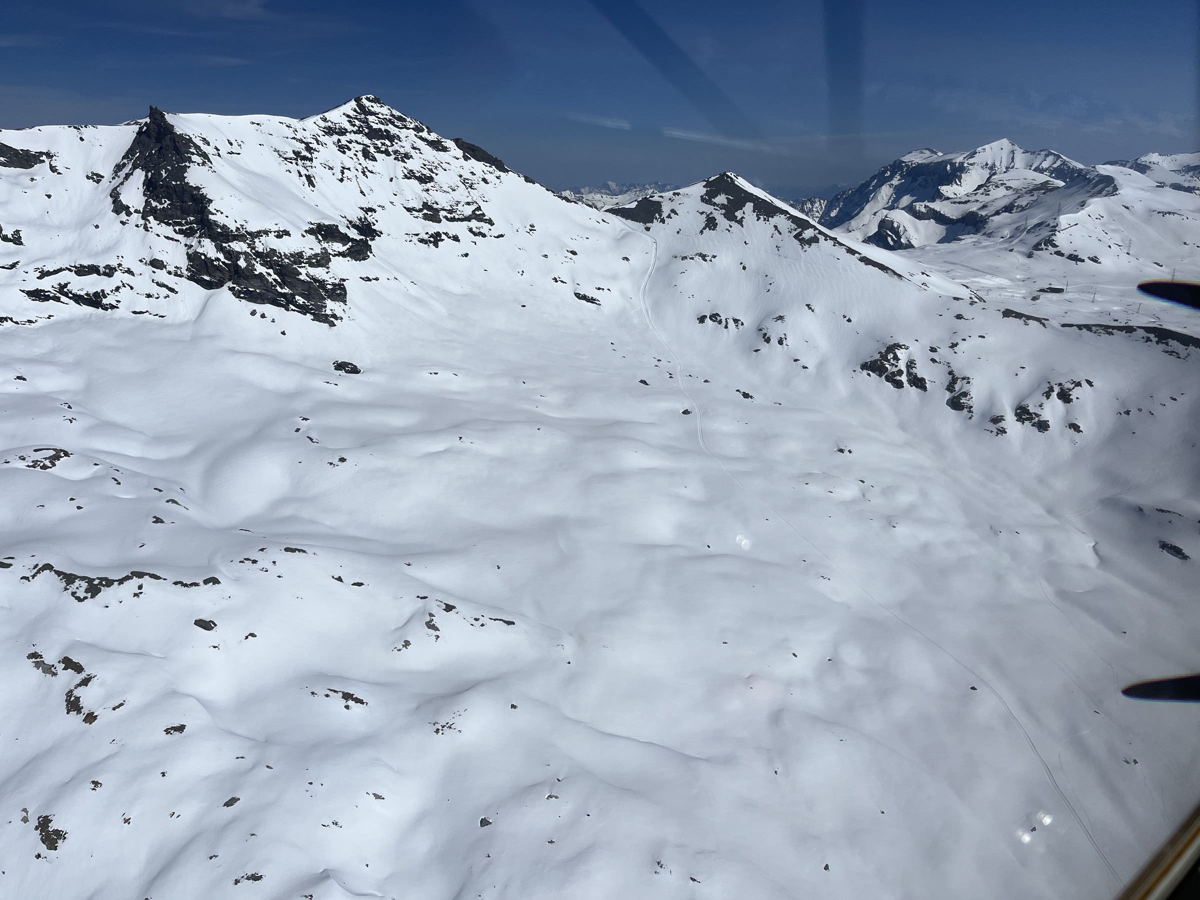 853F8E7B-DF3E-4252-8654-1D4B24819129.jpeg