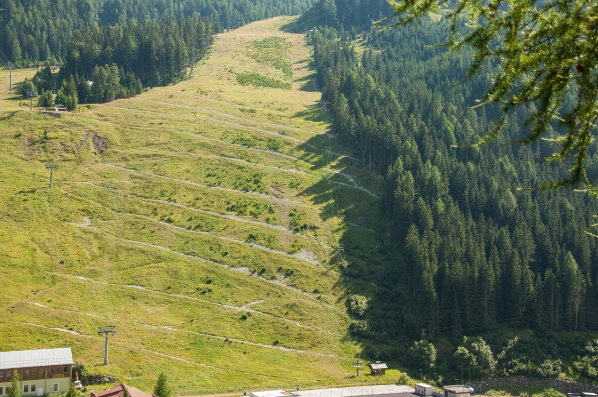87.JPG