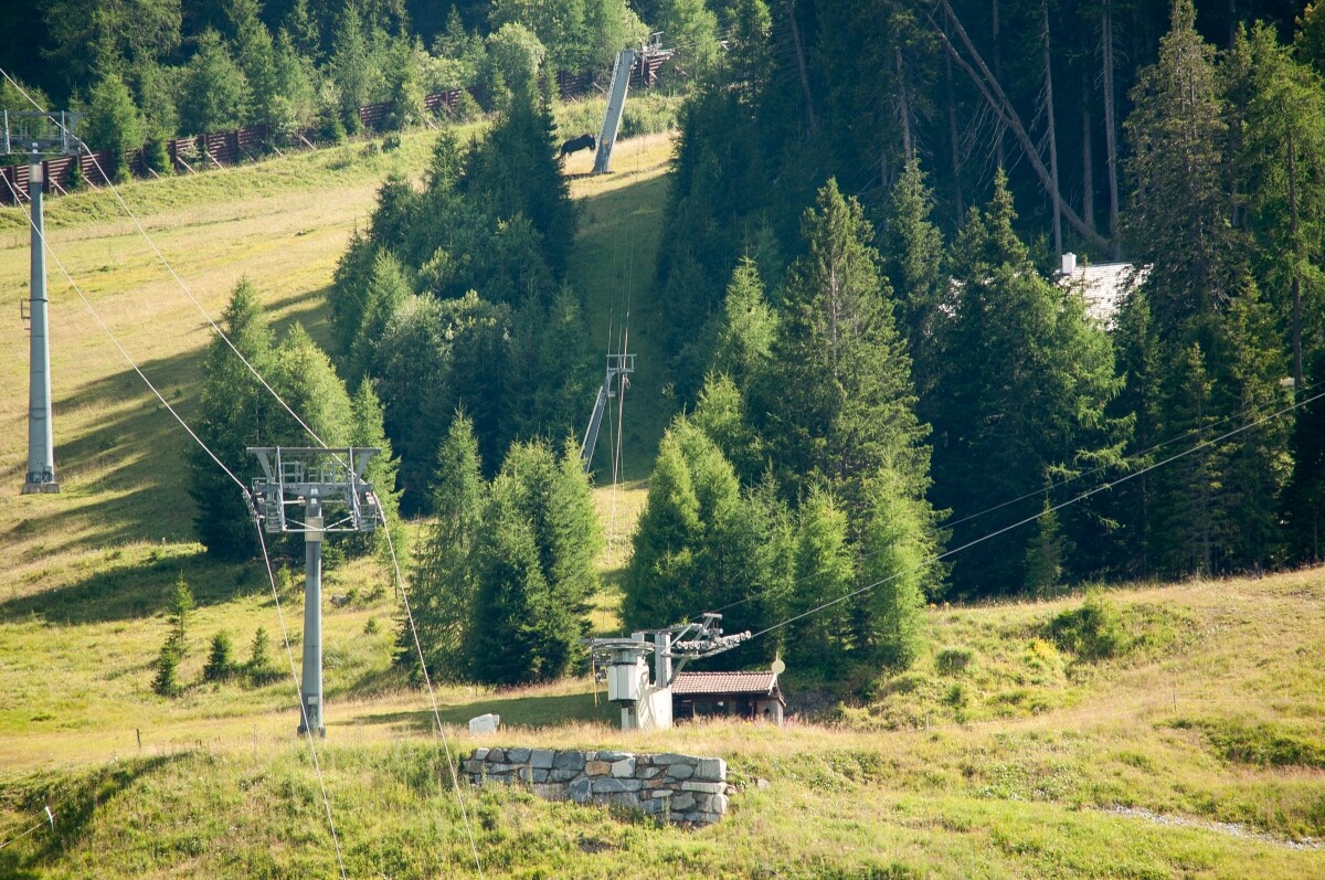 88.JPG